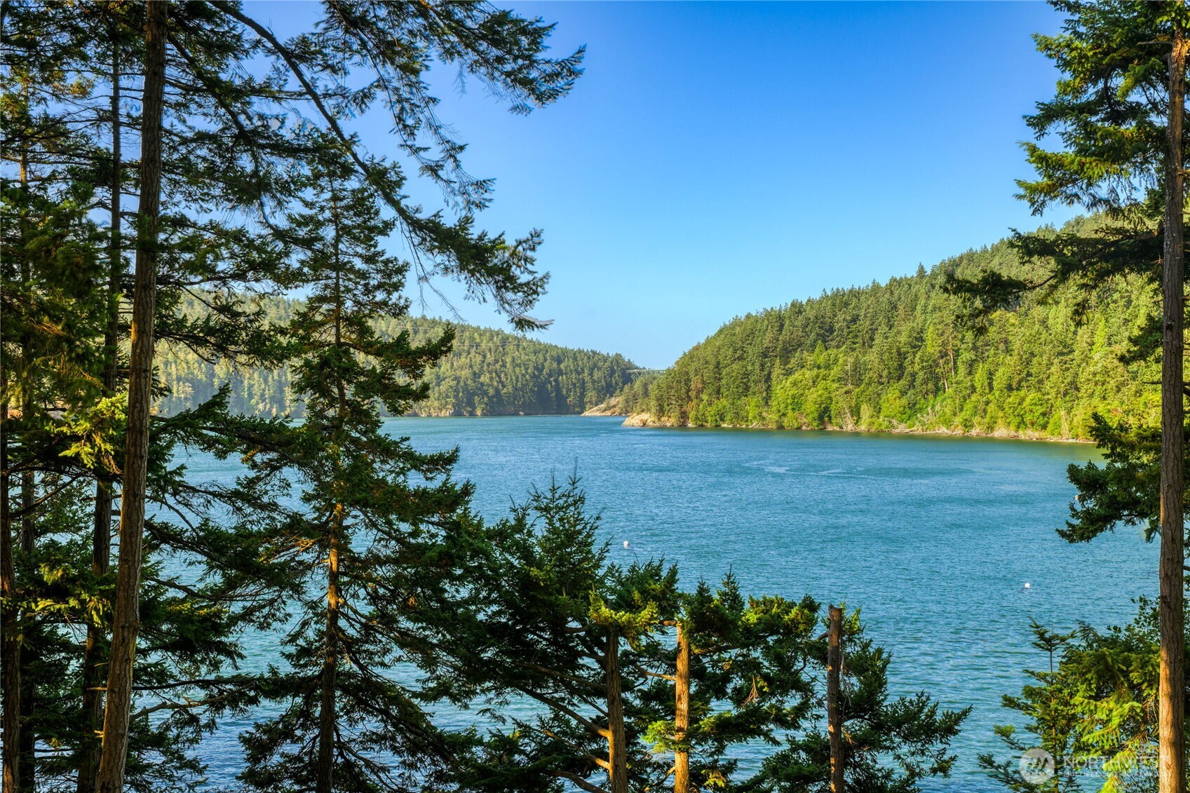 15780 Quiet Cove Drive