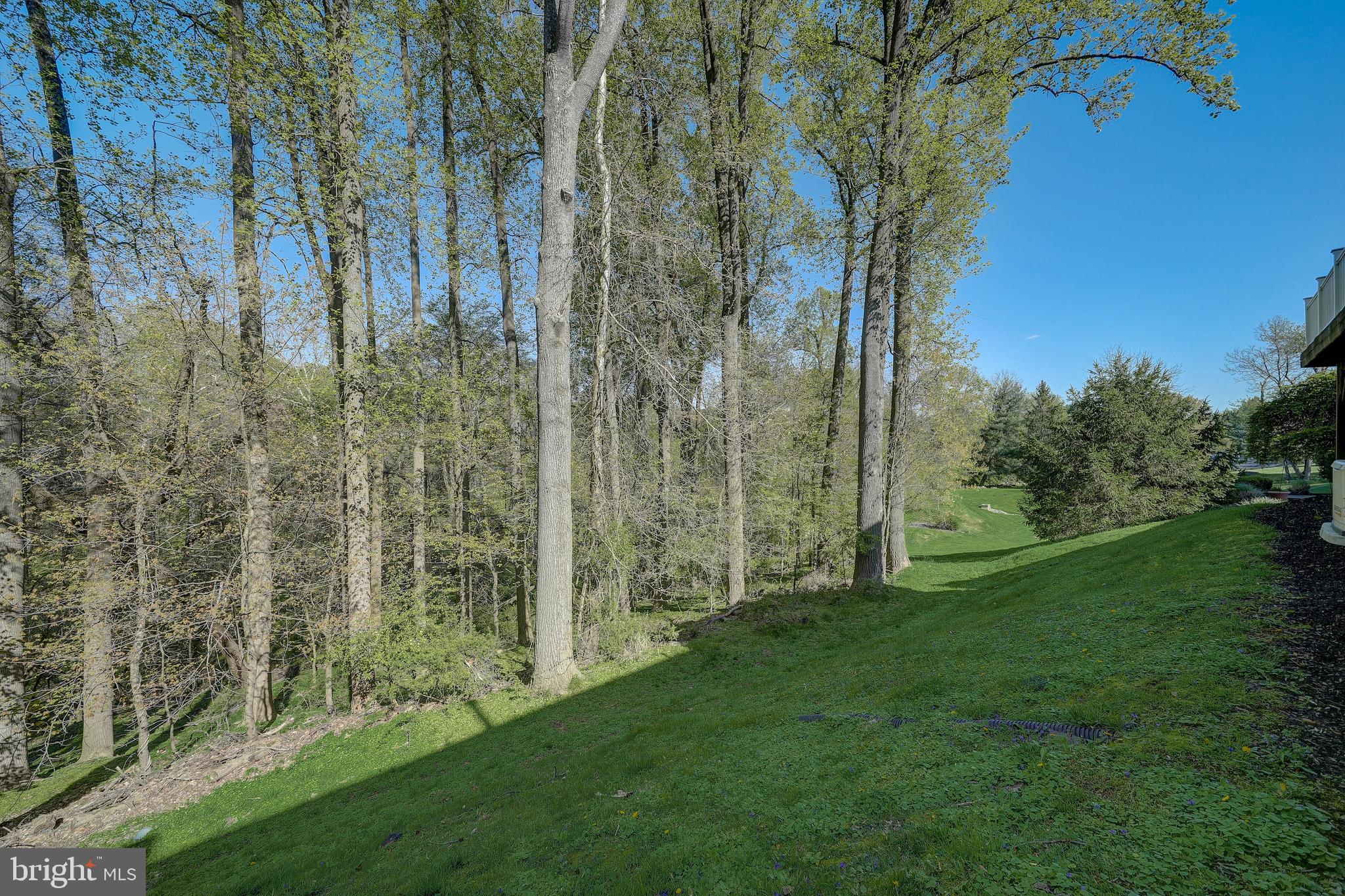133 Overlook Dr