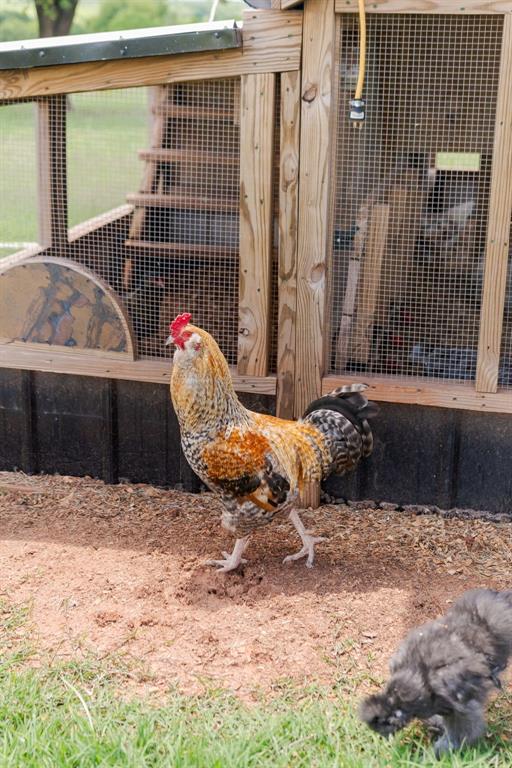 16000 N Hogback Road