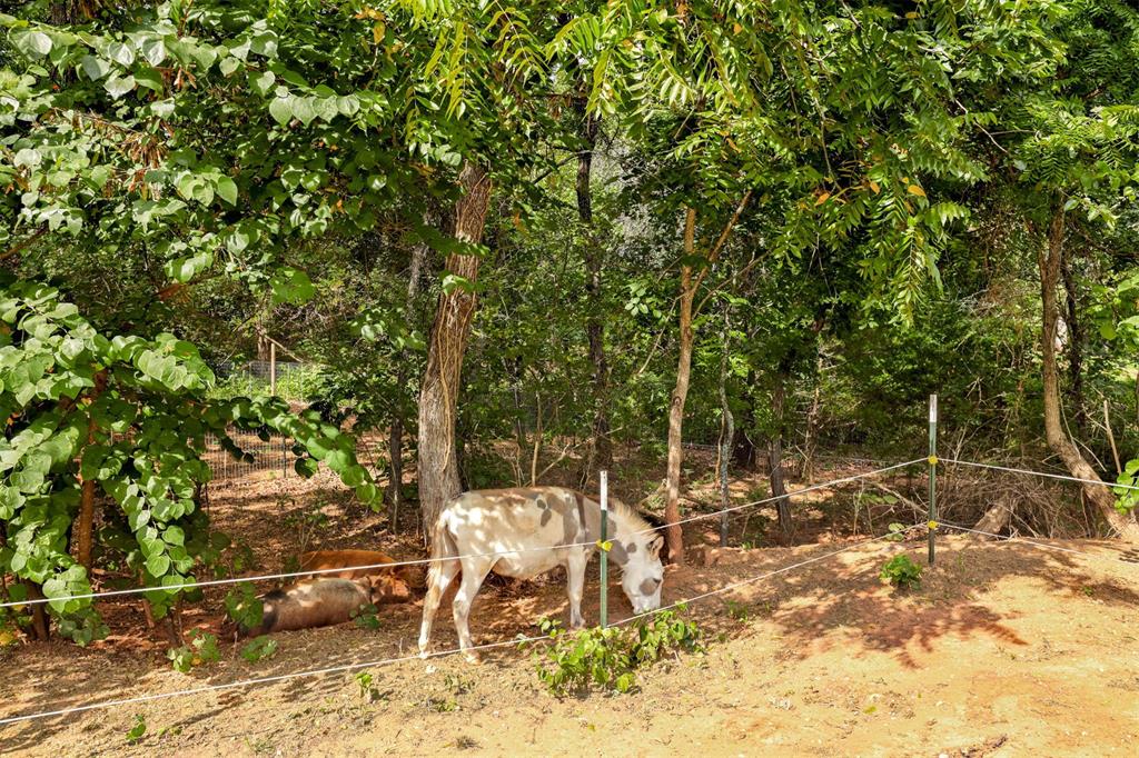 17194 SE 149th Street