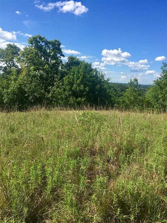 0 S Chickasaw Trail Road