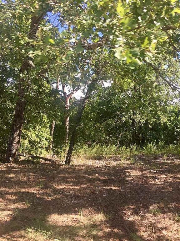 0 S Chickasaw Trail Road