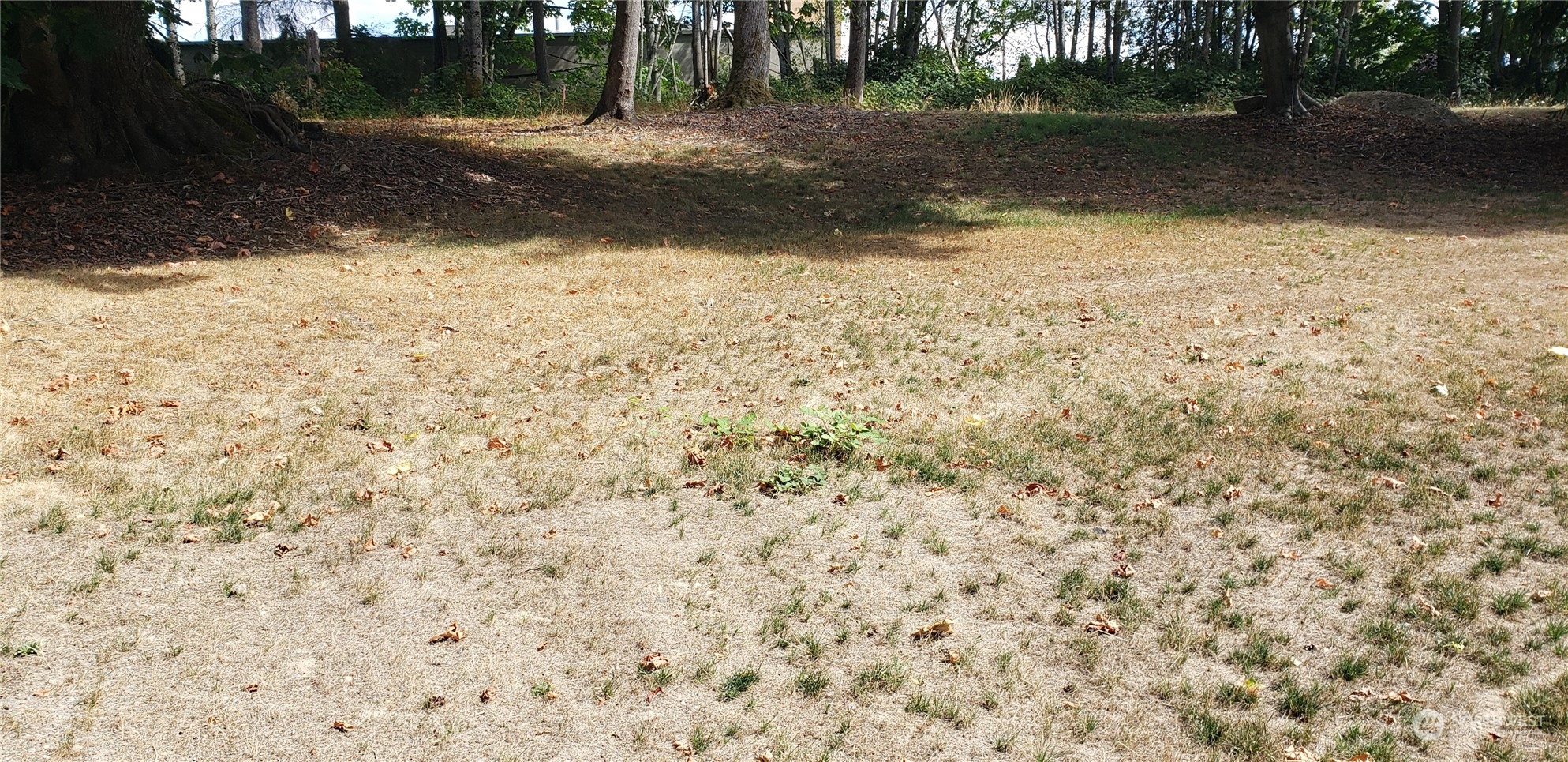 3621 Evergreen Drive