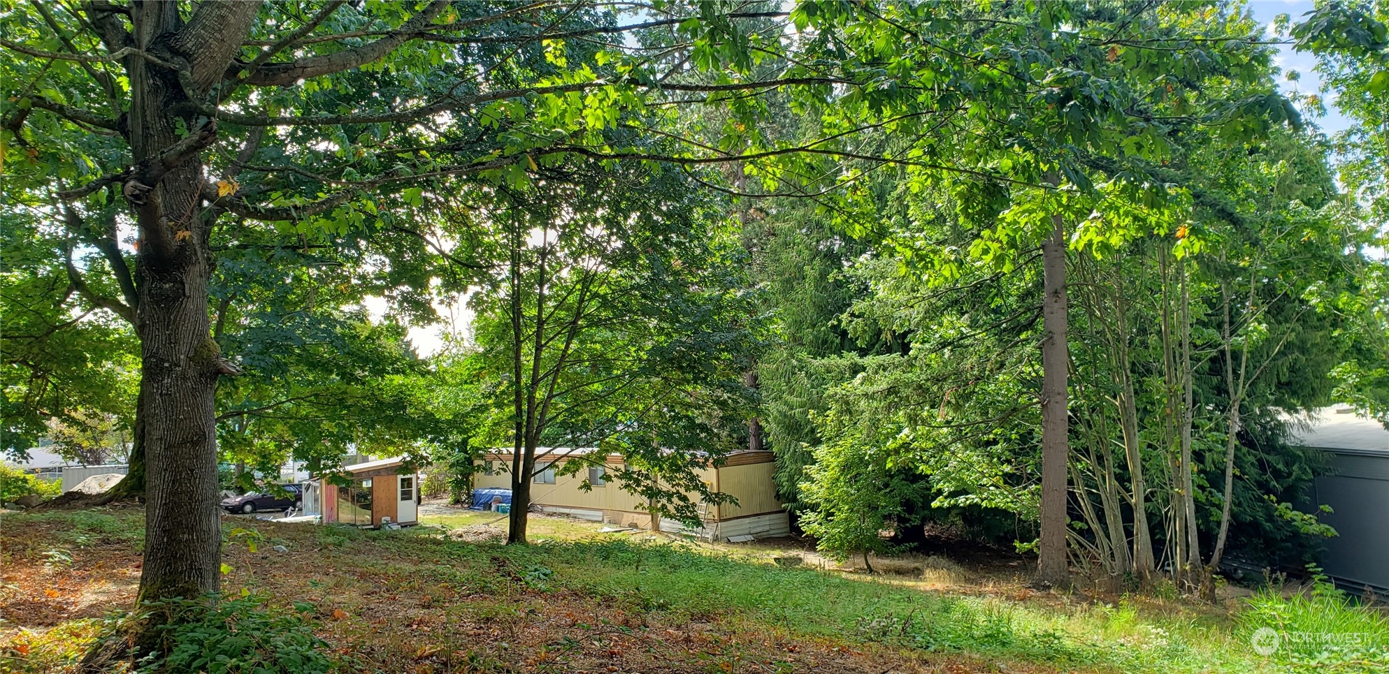 3621 Evergreen Drive