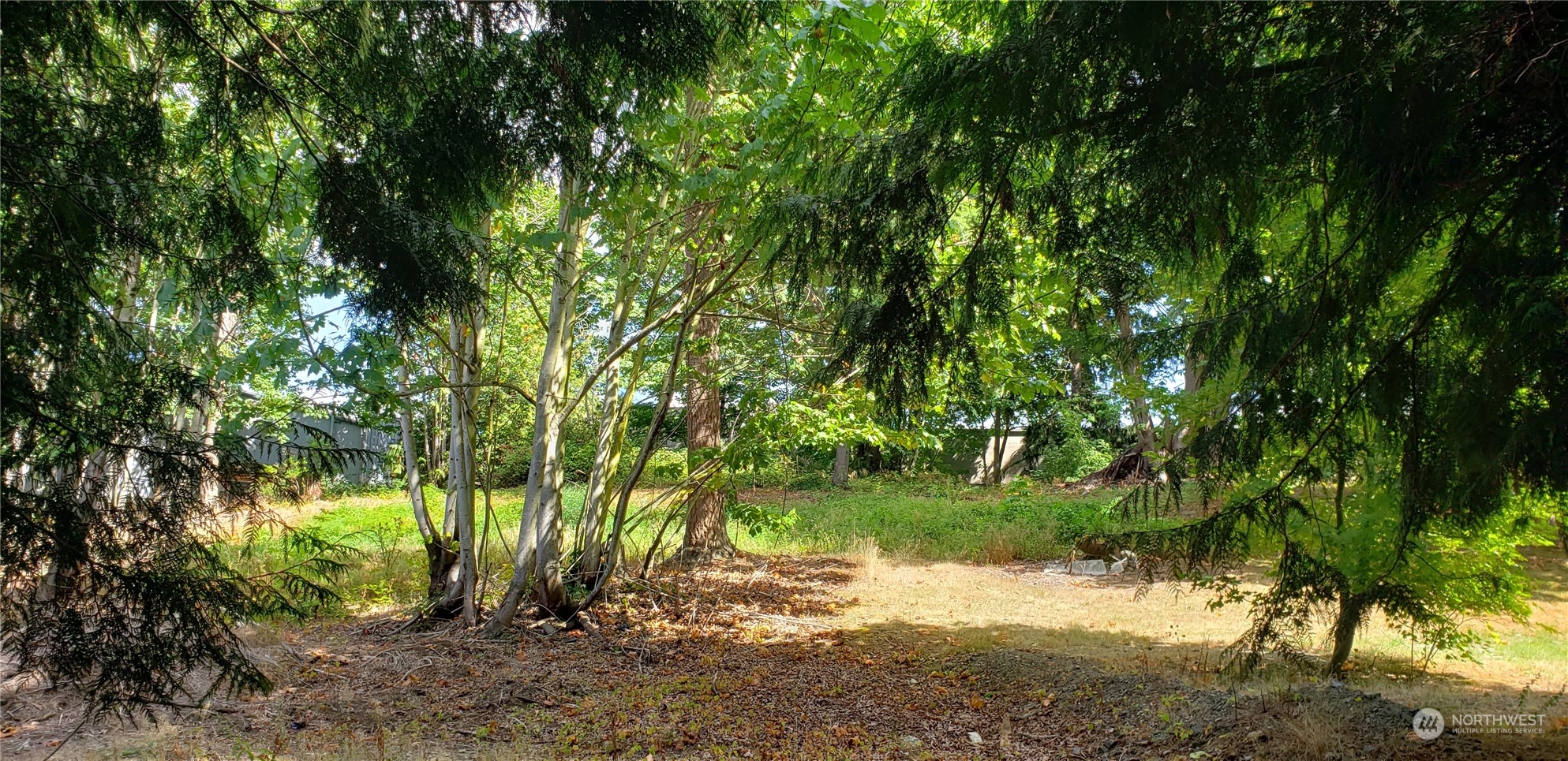 3621 Evergreen Drive