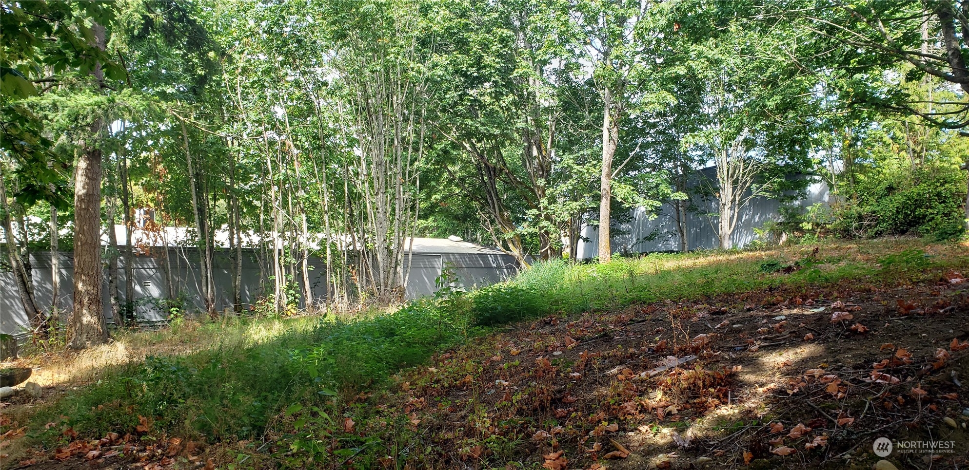 3621 Evergreen Drive