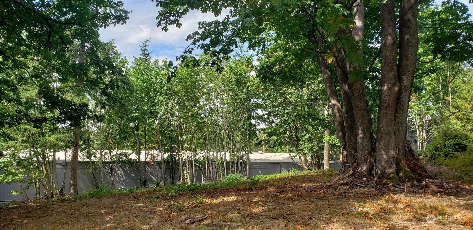 3621 Evergreen Drive