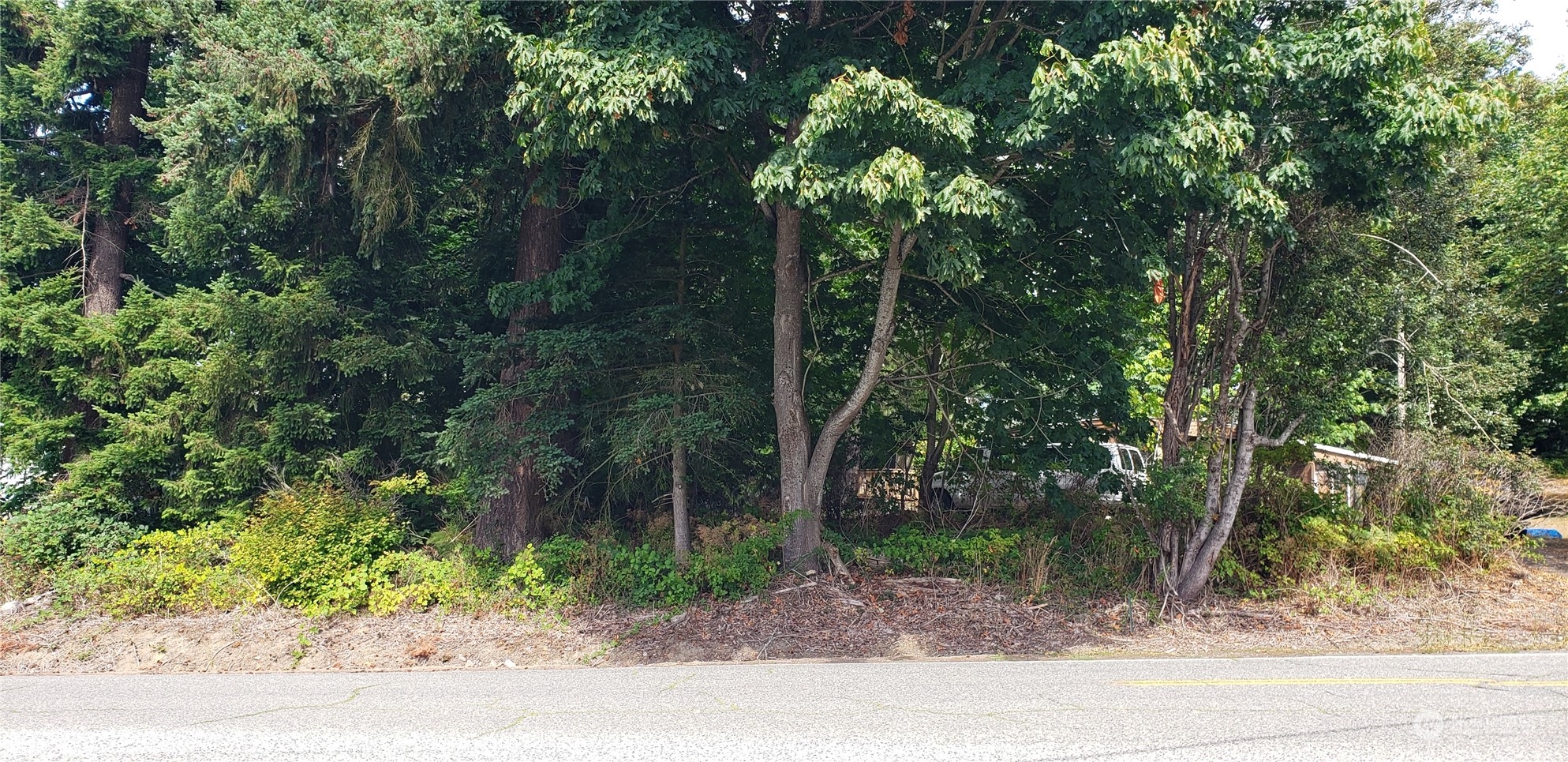 3621 Evergreen Drive