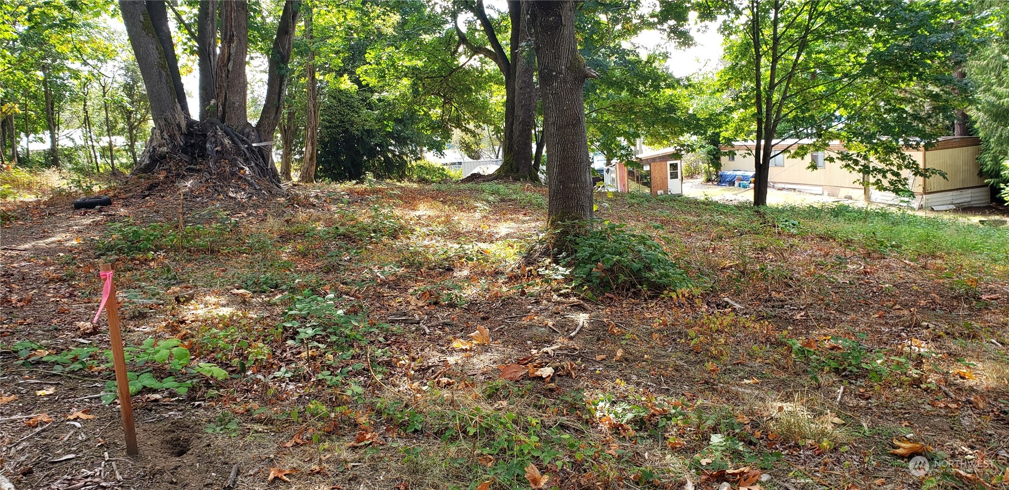 3621 Evergreen Drive