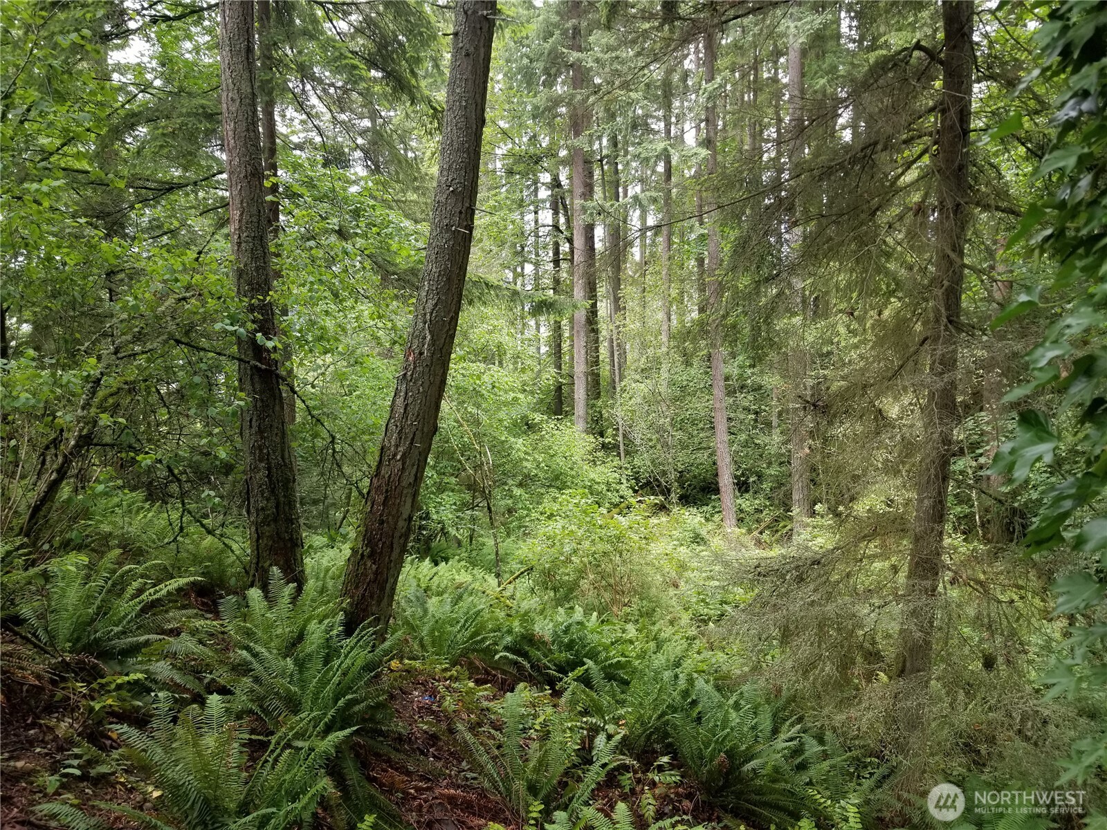 1500 XX E Lake Sammamish Parkway SE