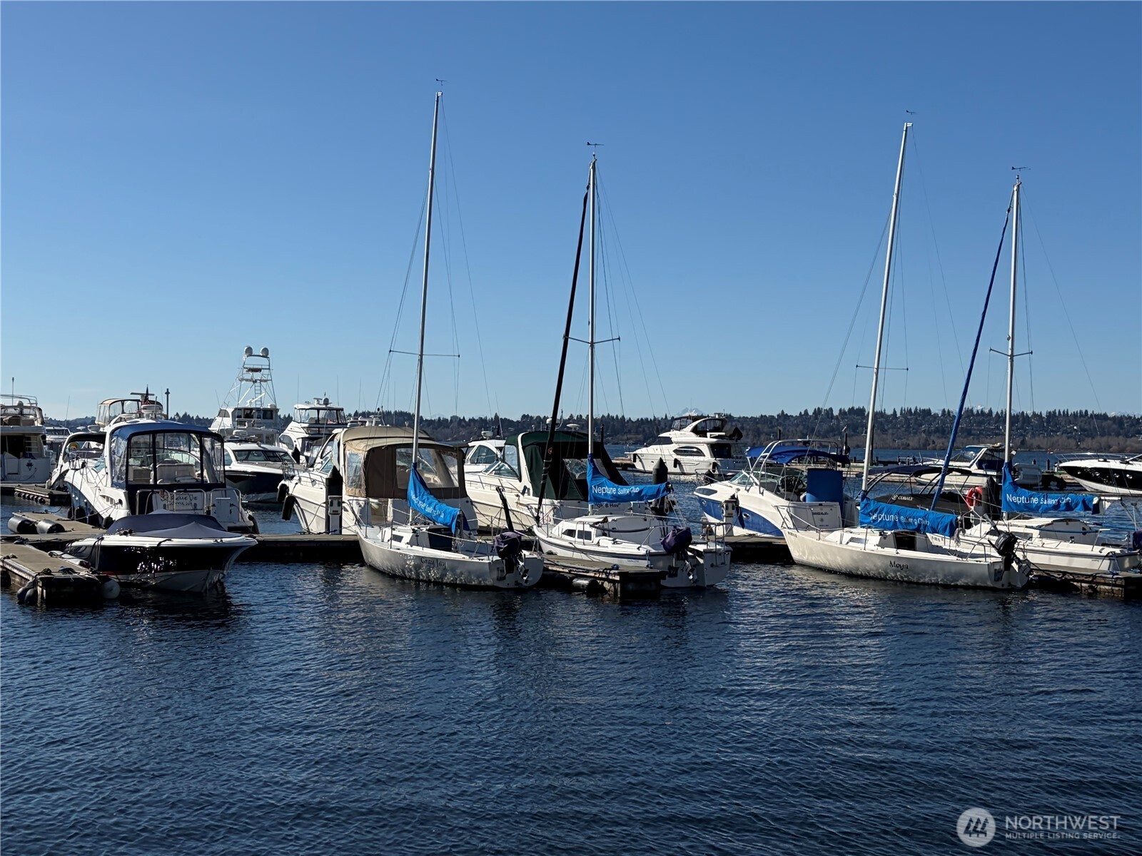 65 Kirkland Avenue Unit: 202