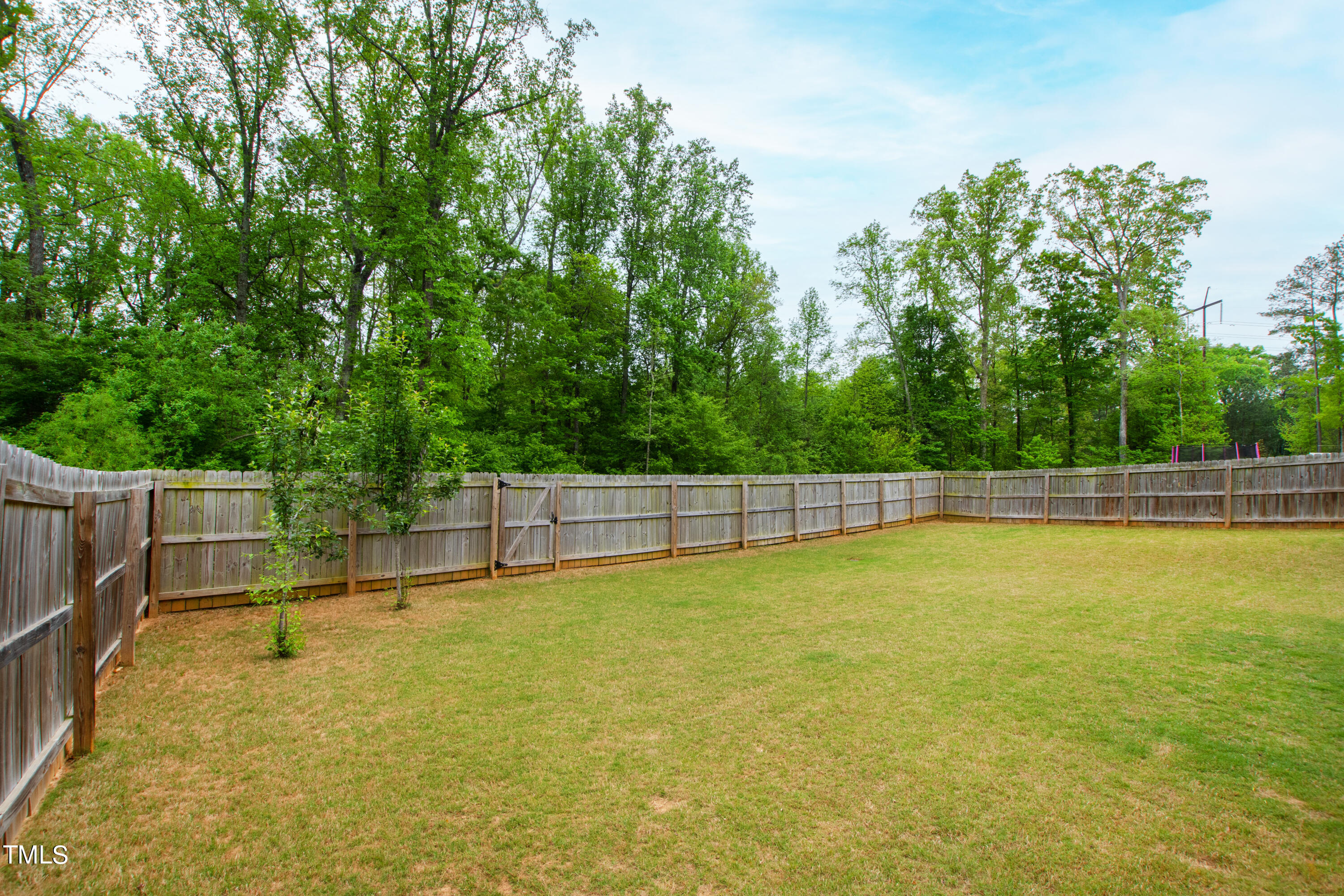 2717 Cutleaf Drive