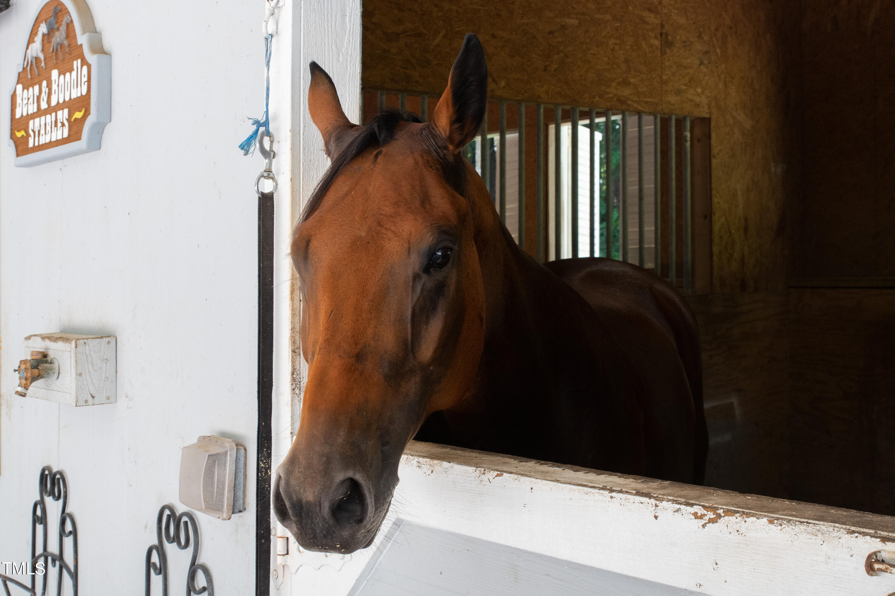 11804 Appaloosa Run
