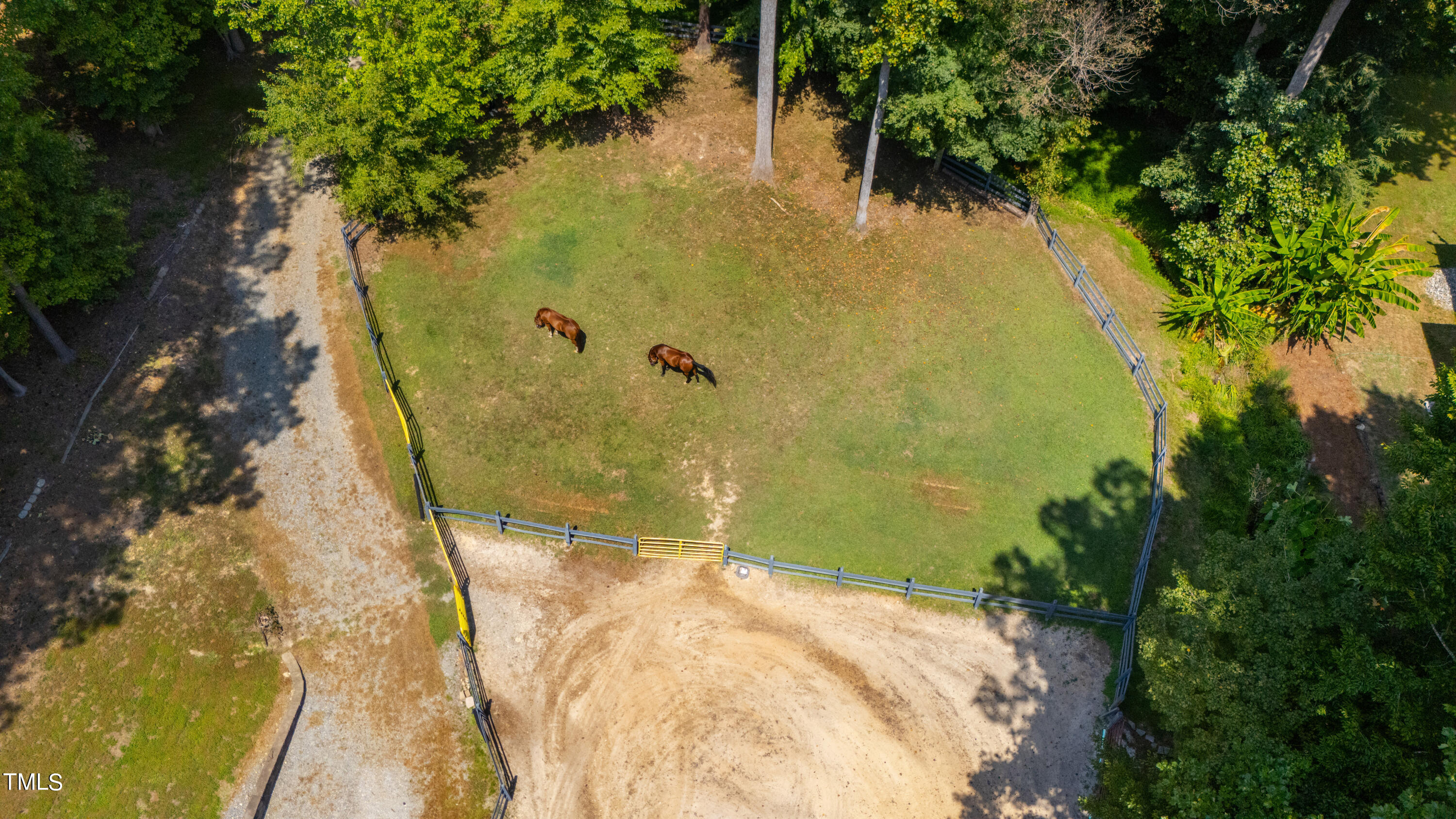11804 Appaloosa Run
