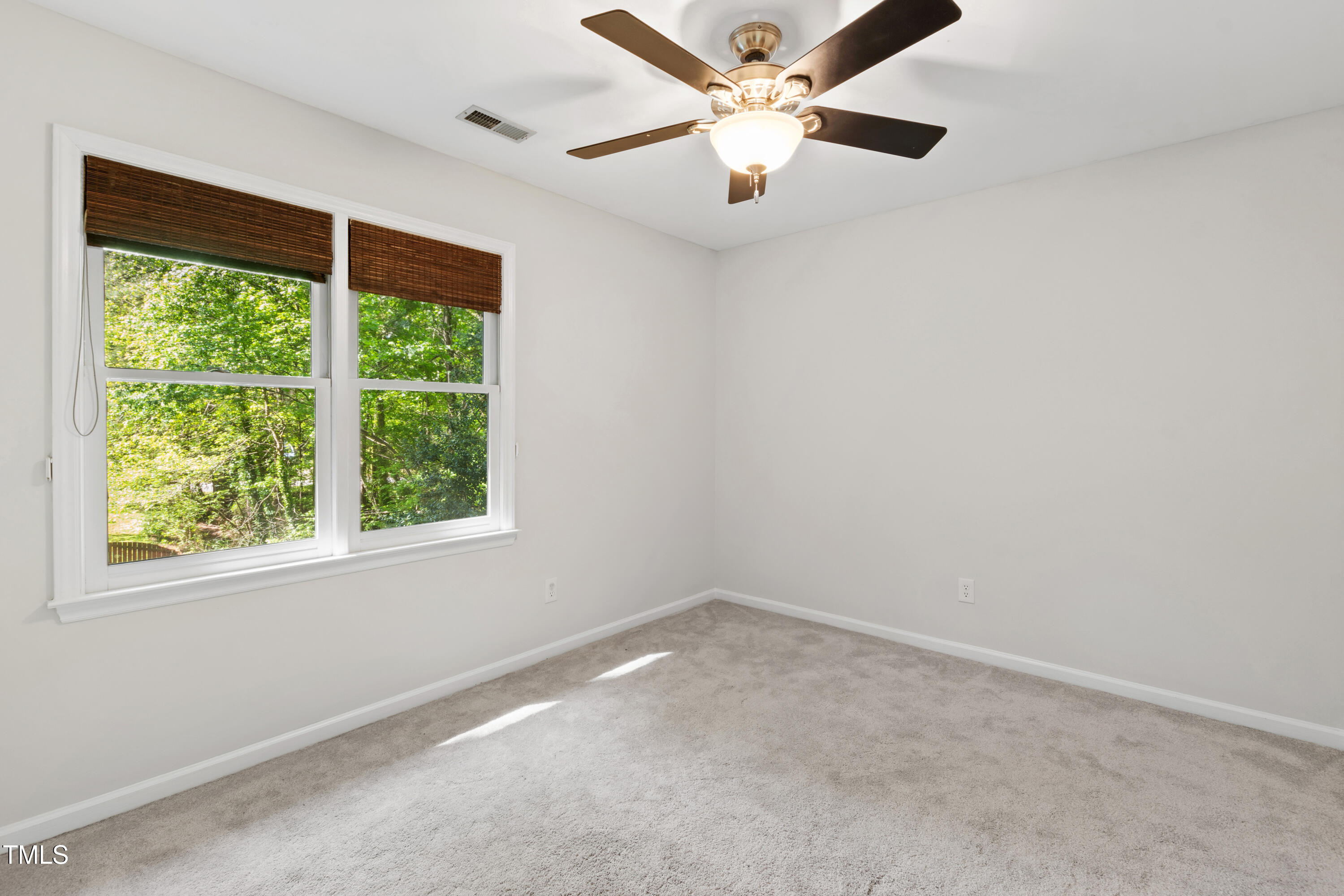 213 Beechtree Drive