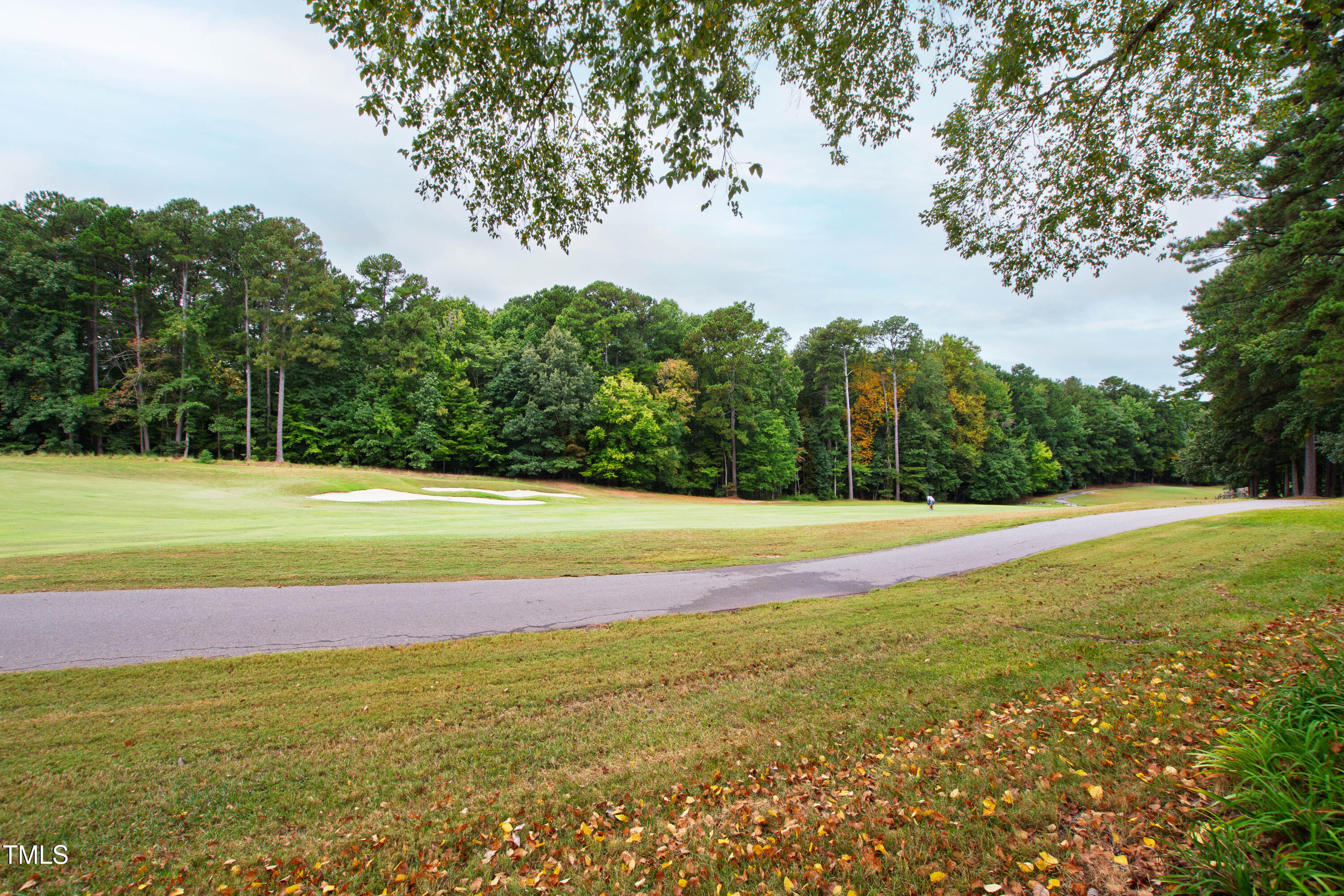 2972 Tillinghast Trail