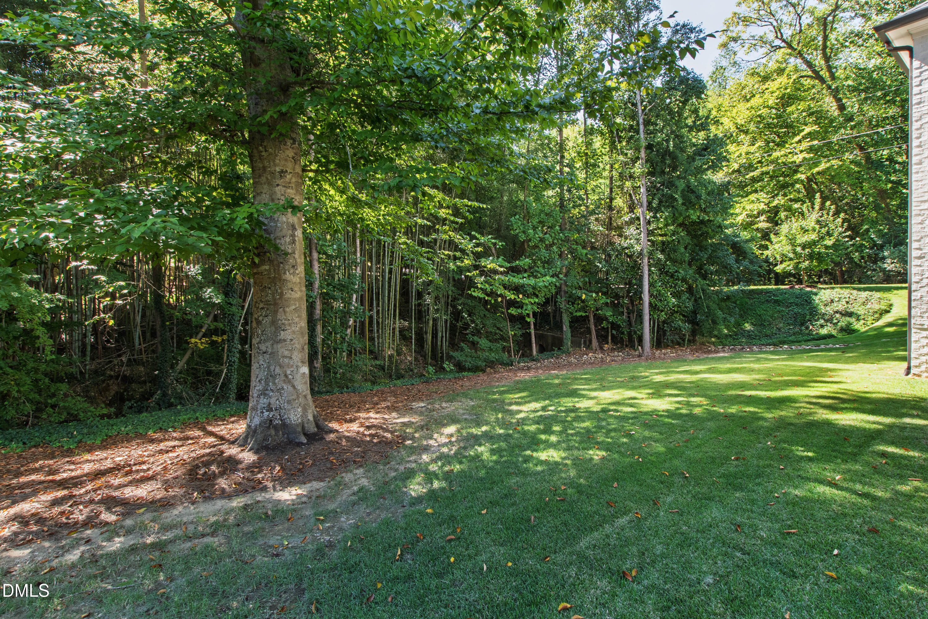 200 Pasquotank Drive