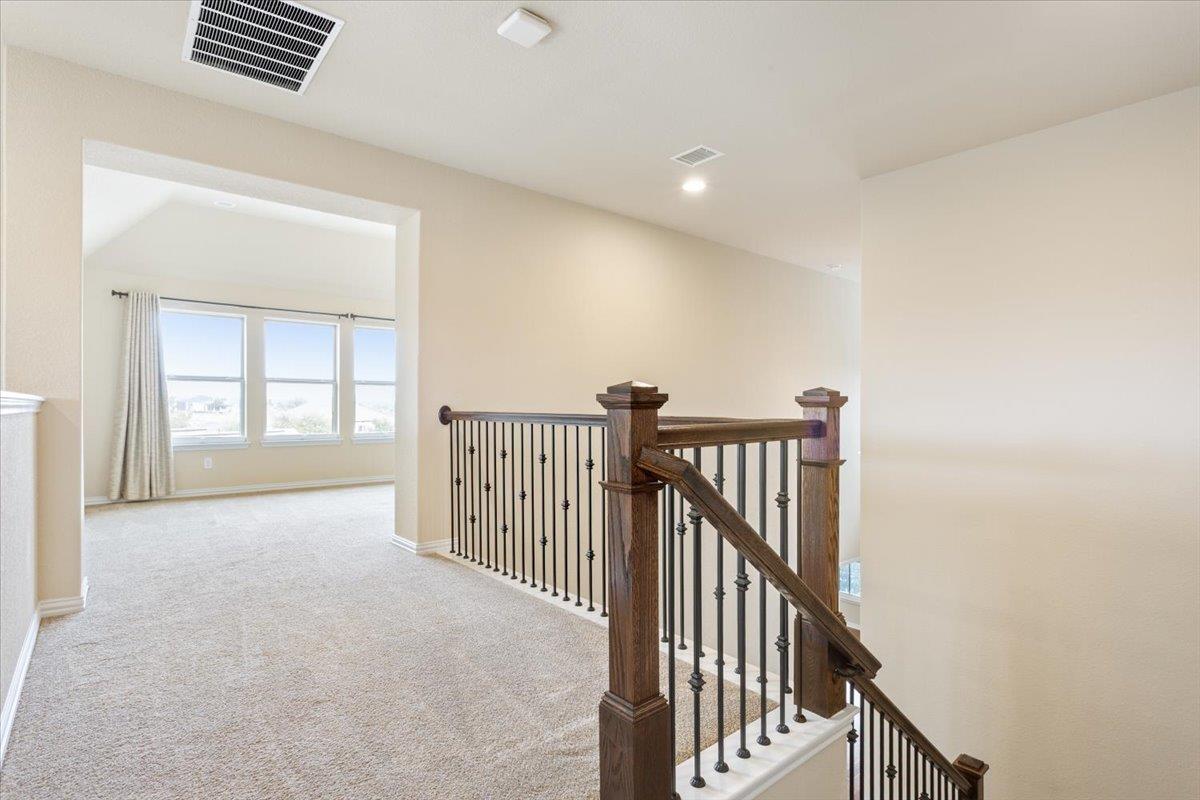 125 Indian Paintbrush TRL