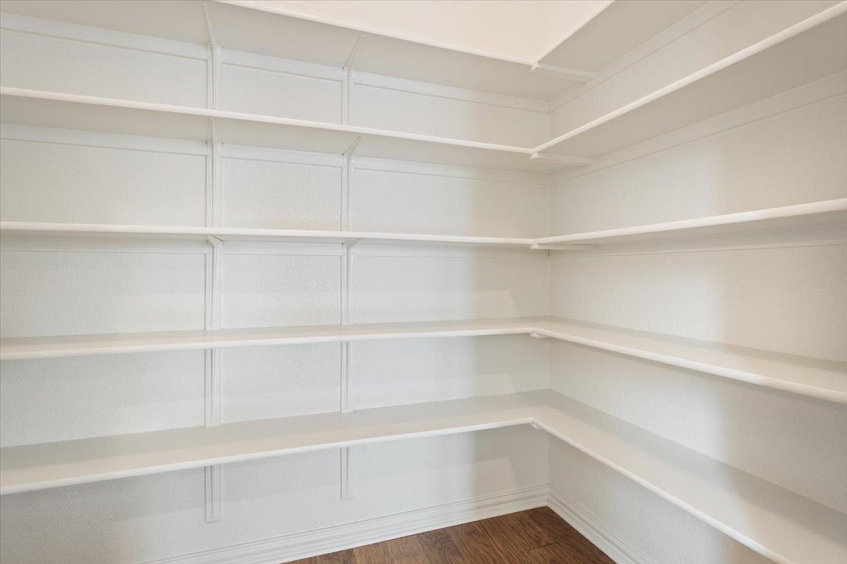 125 Indian Paintbrush TRL