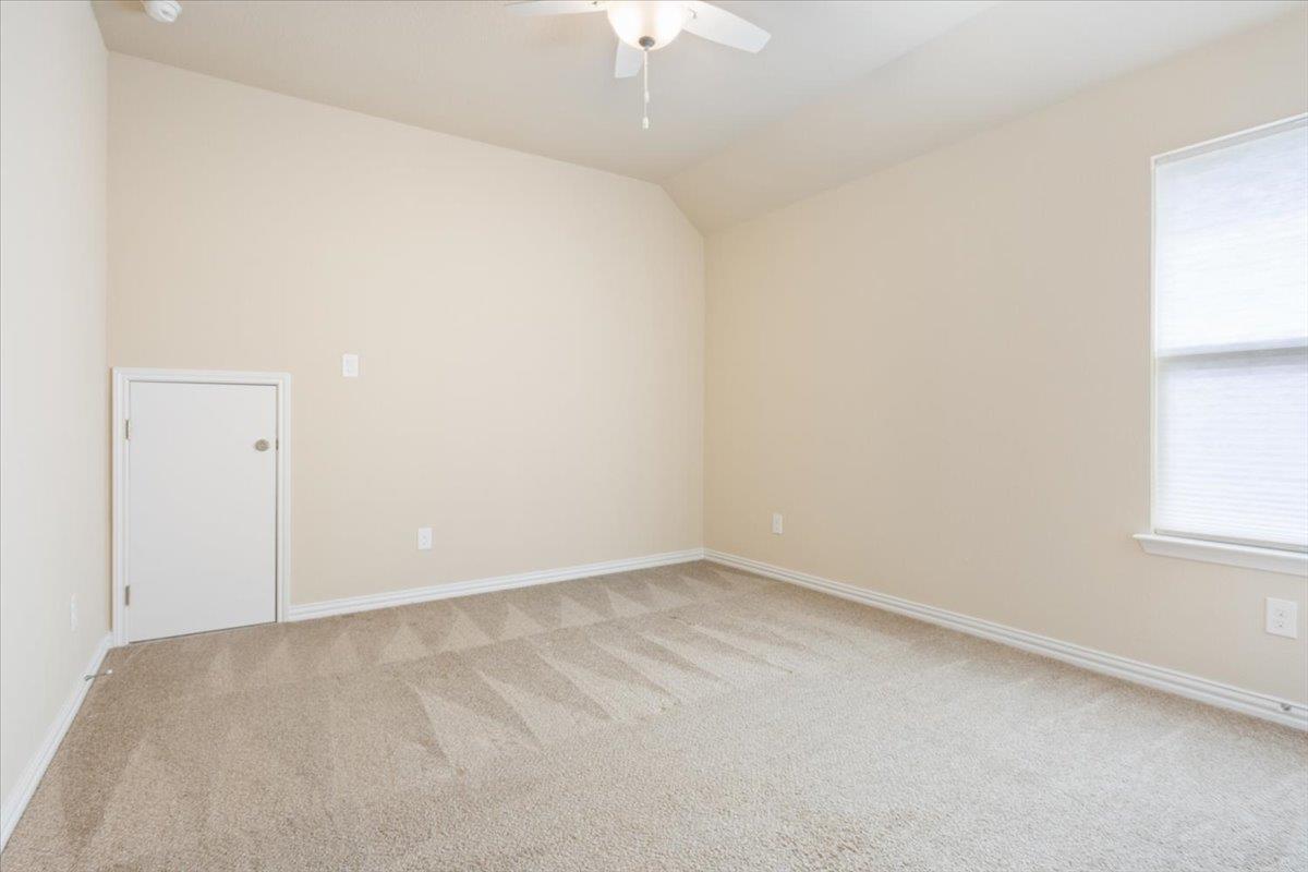 125 Indian Paintbrush TRL