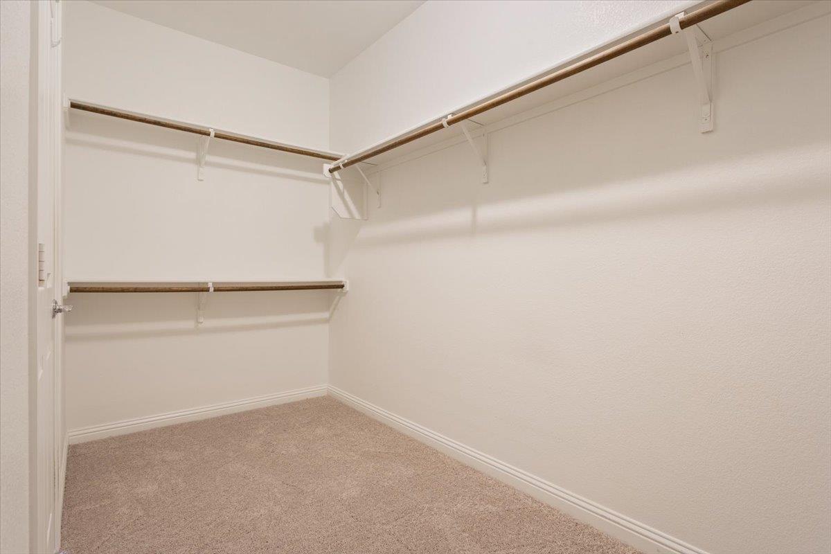 108 Cathedral Mountain PASS