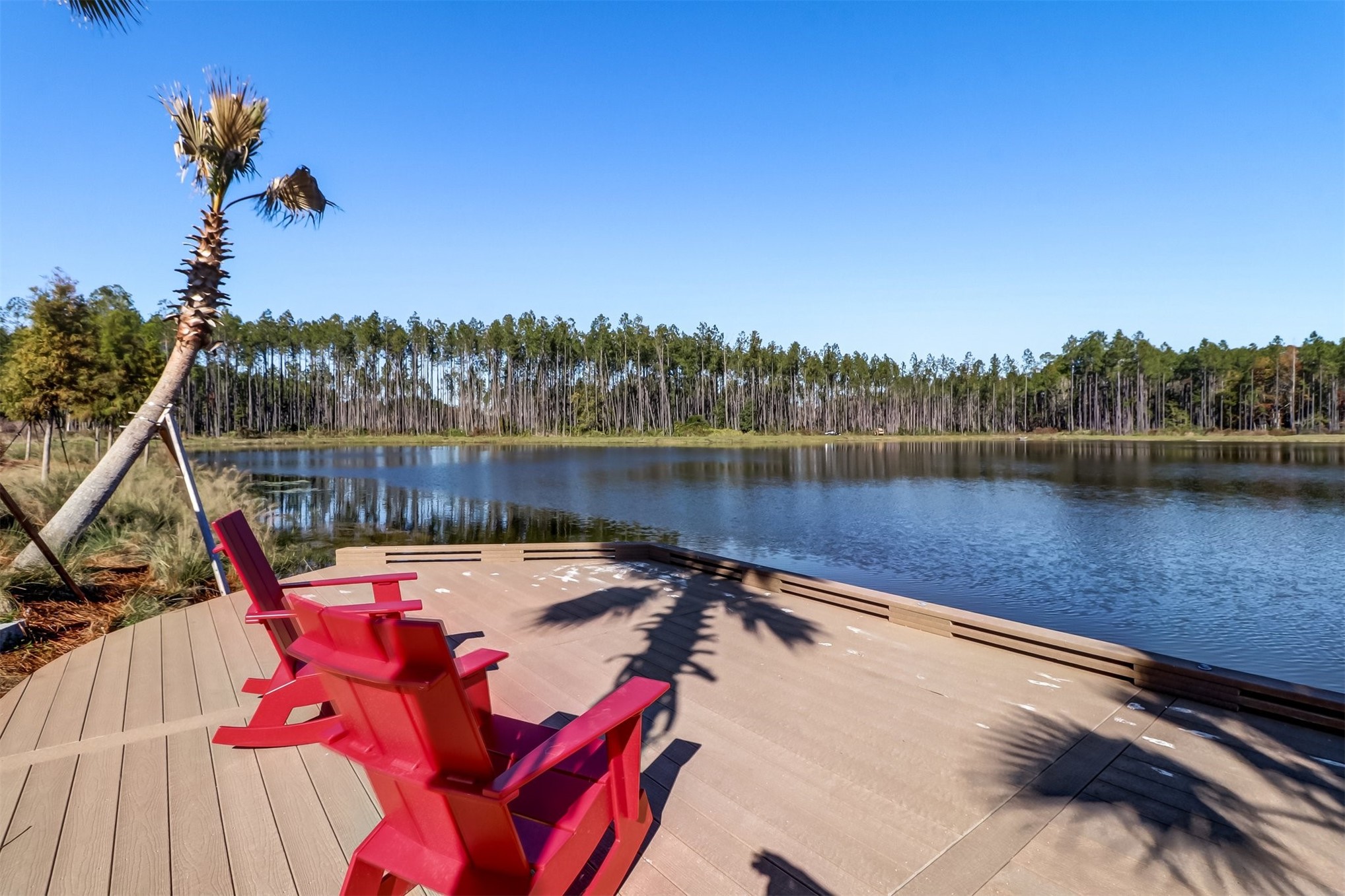 684 PALMETTO PLACE