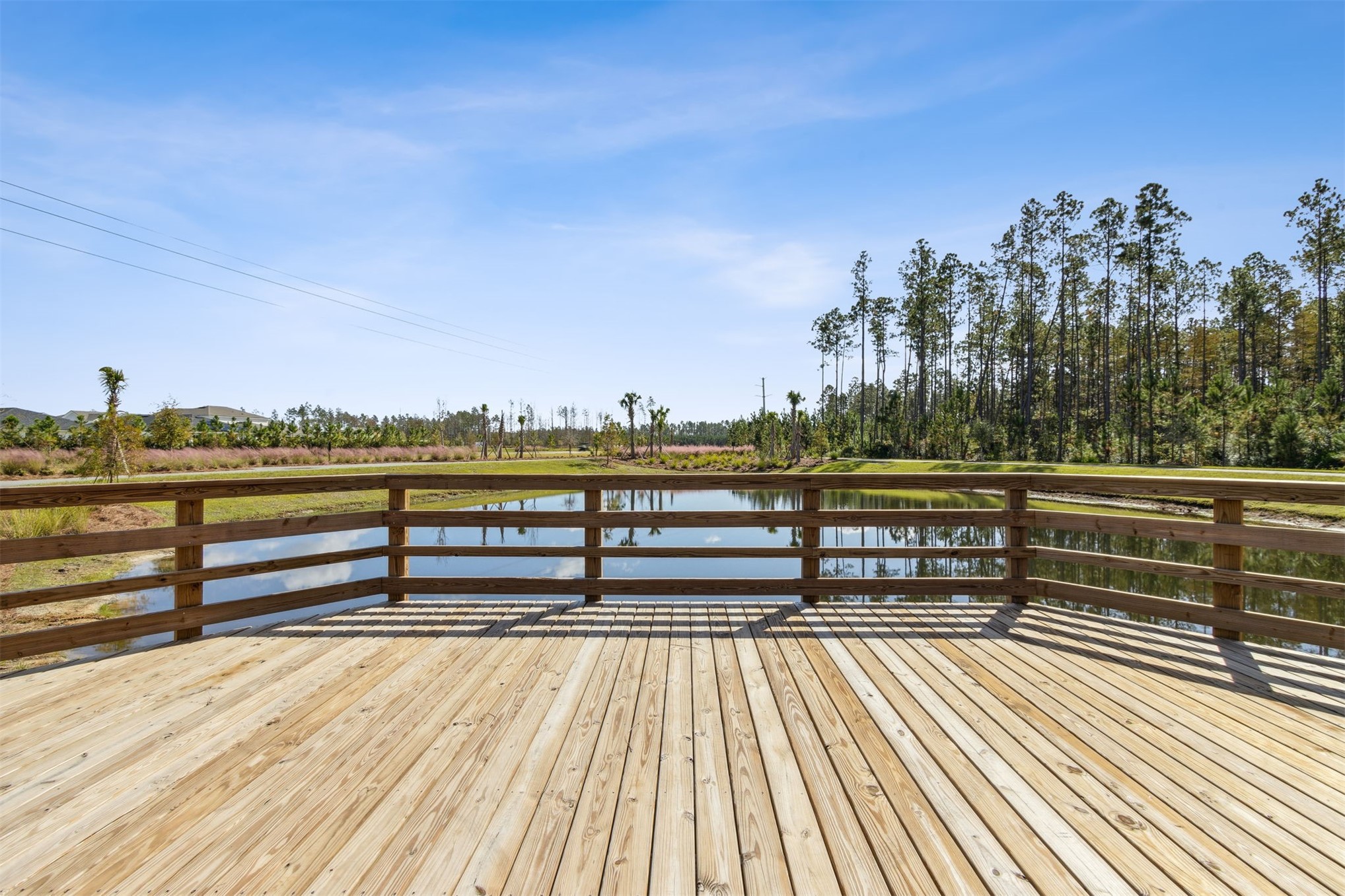 368 MUHLY GRASS STREET