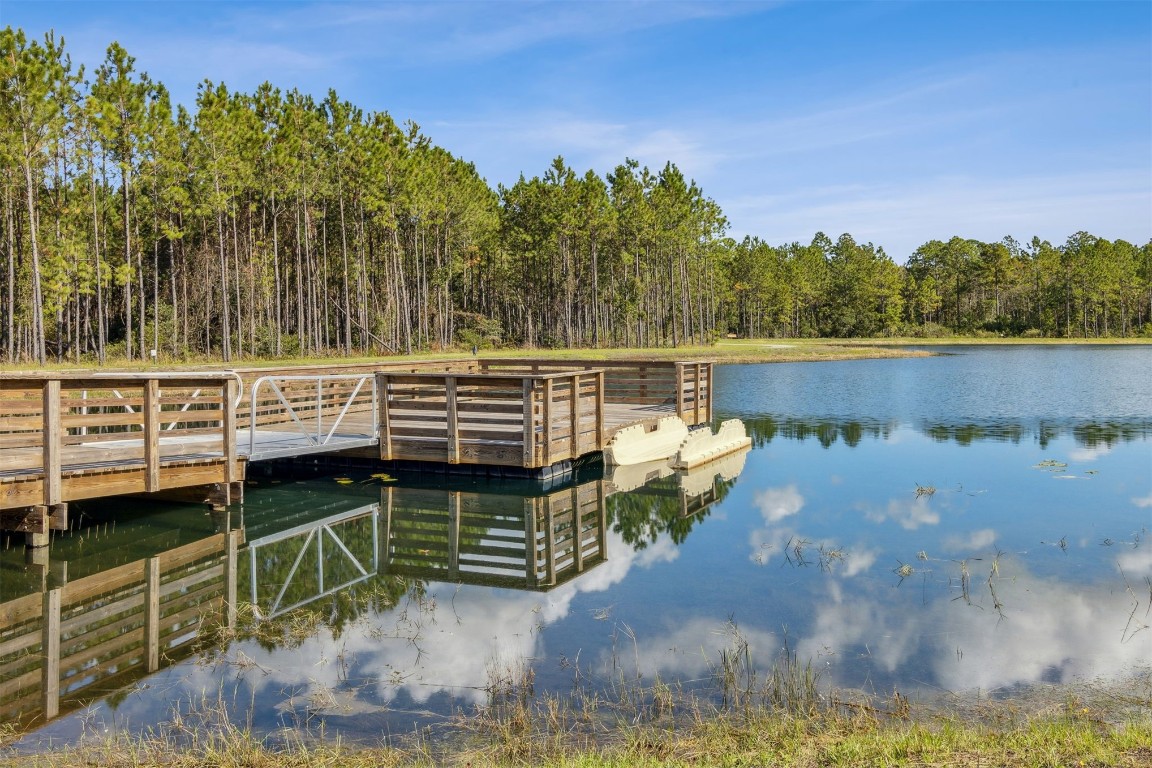 368 MUHLY GRASS STREET