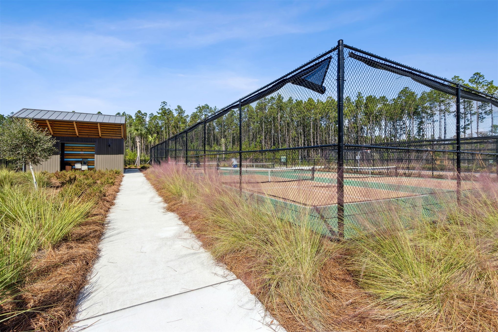 368 MUHLY GRASS STREET