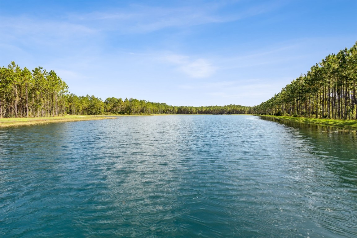 368 MUHLY GRASS STREET