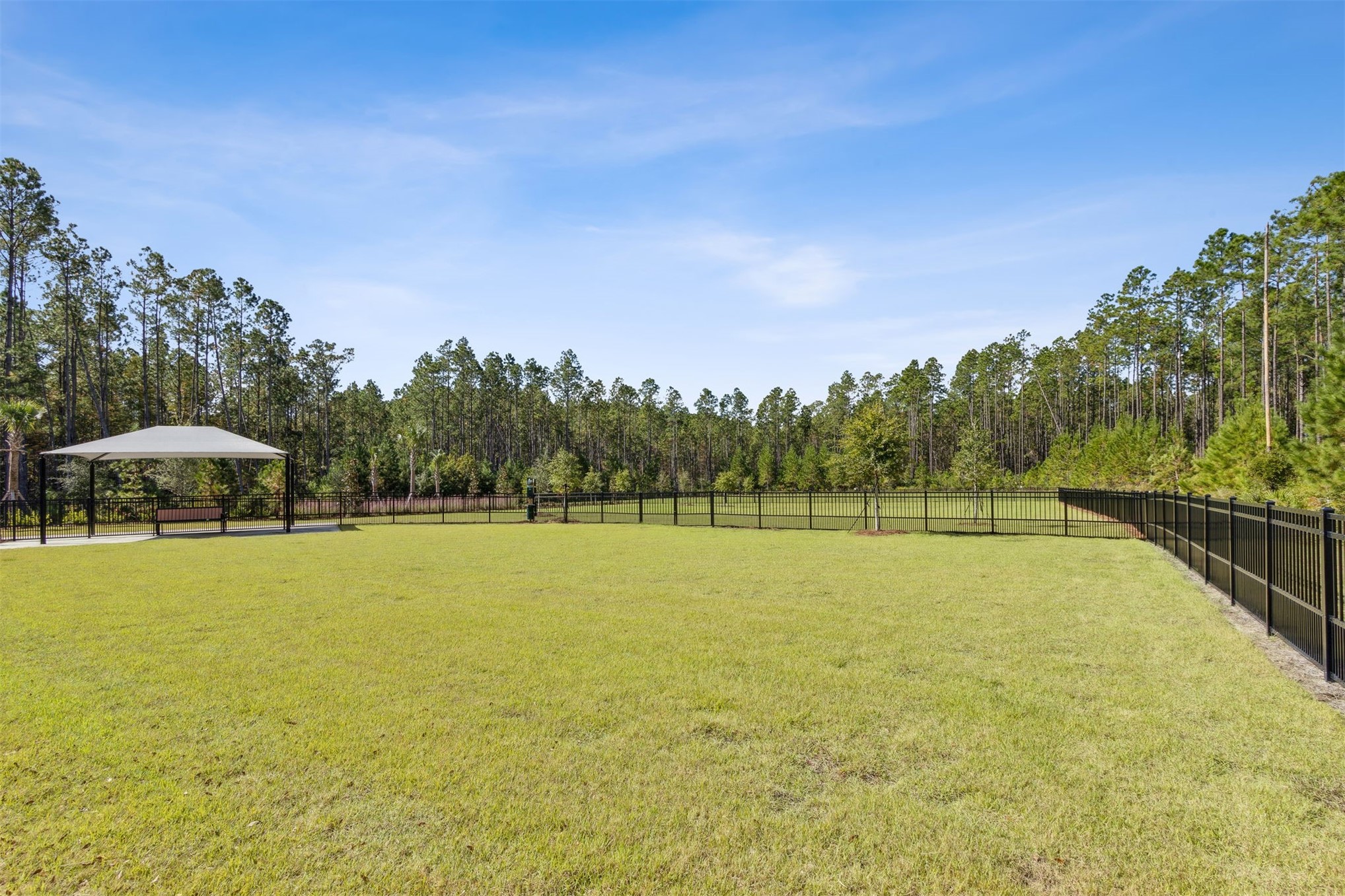 368 MUHLY GRASS STREET