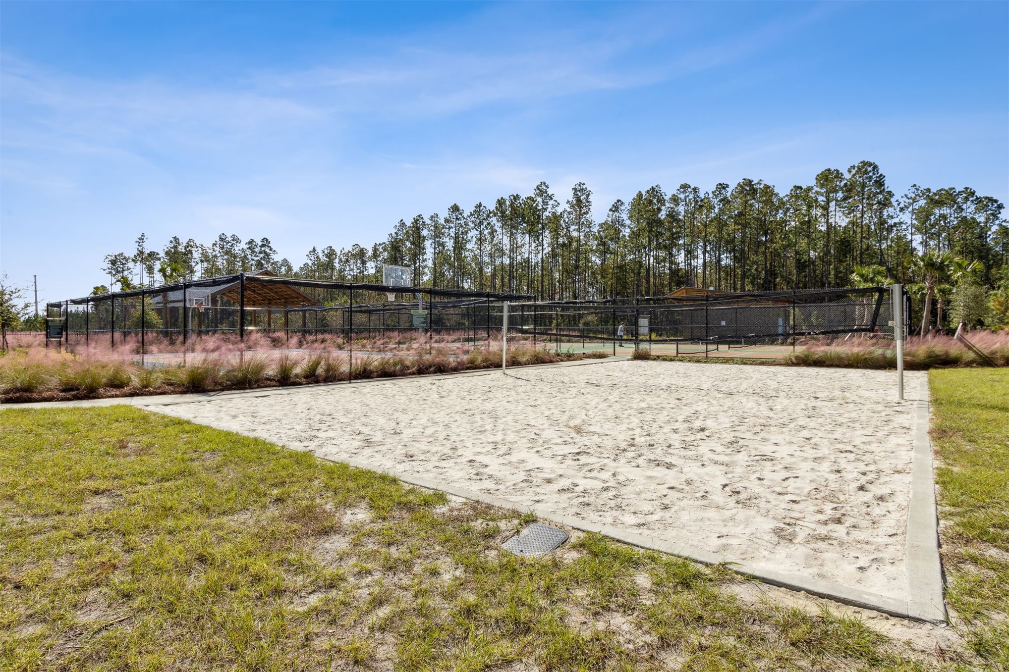 368 MUHLY GRASS STREET