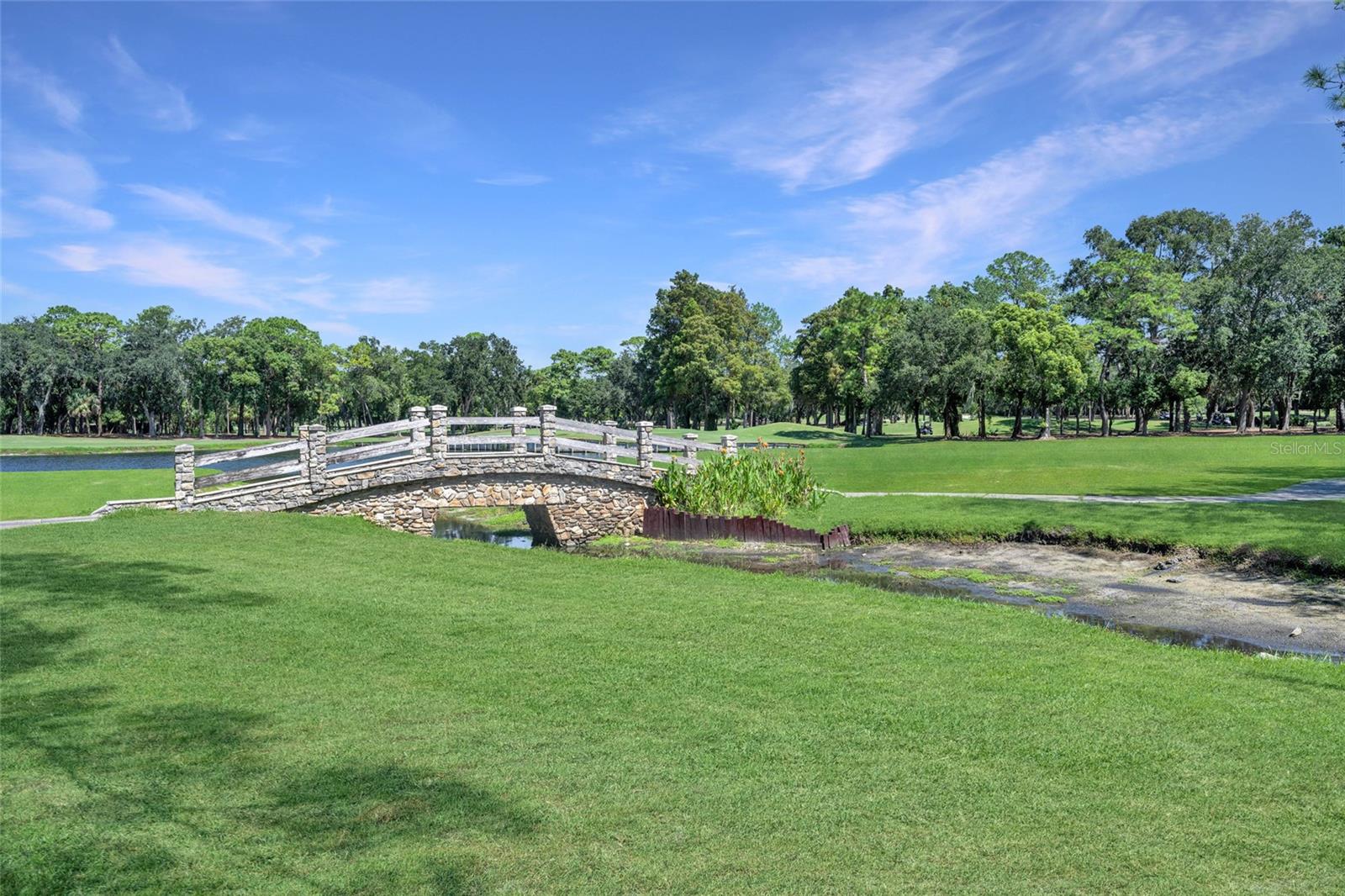 36750 US HIGHWAY 19 N #24-103