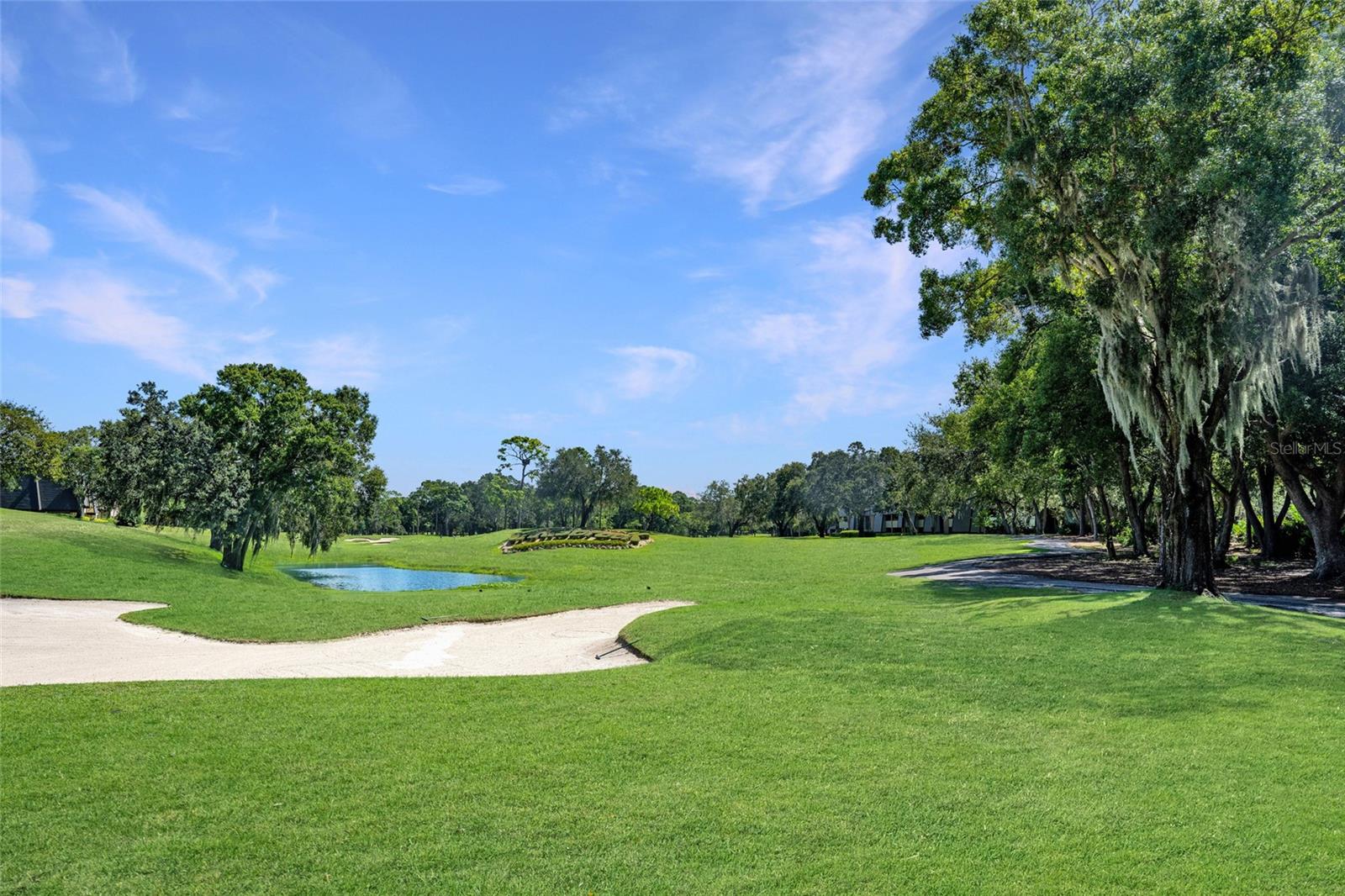 36750 US HIGHWAY 19 N #24-103