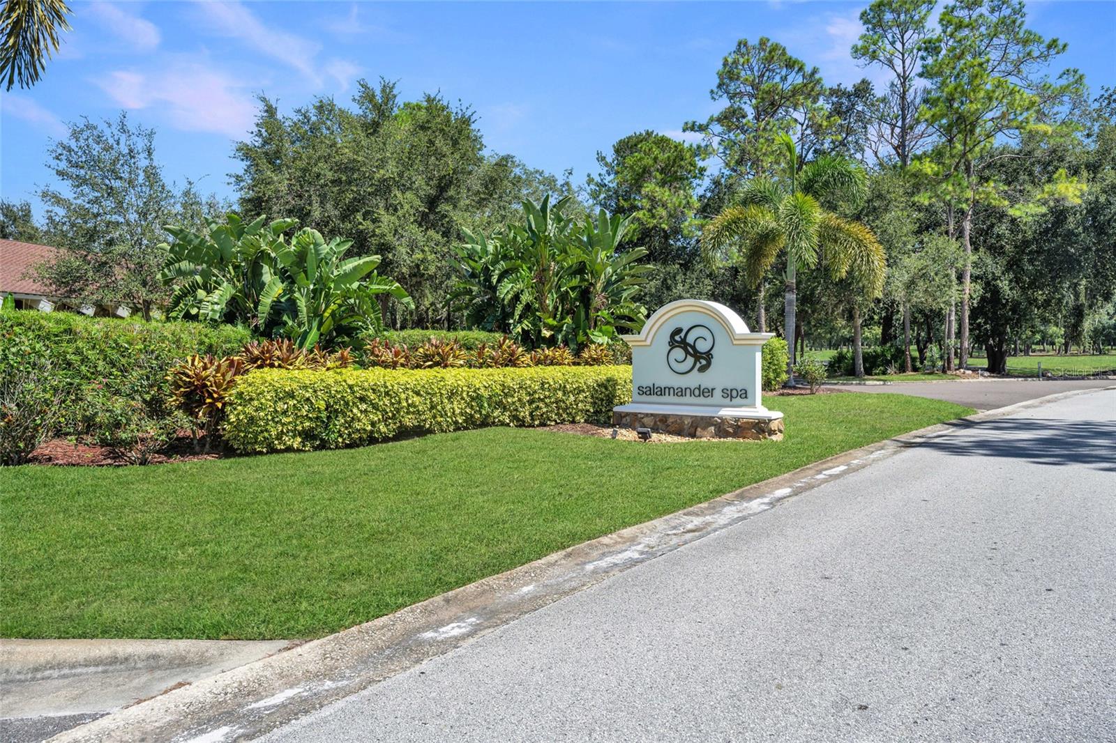 36750 US HIGHWAY 19 N #24-103