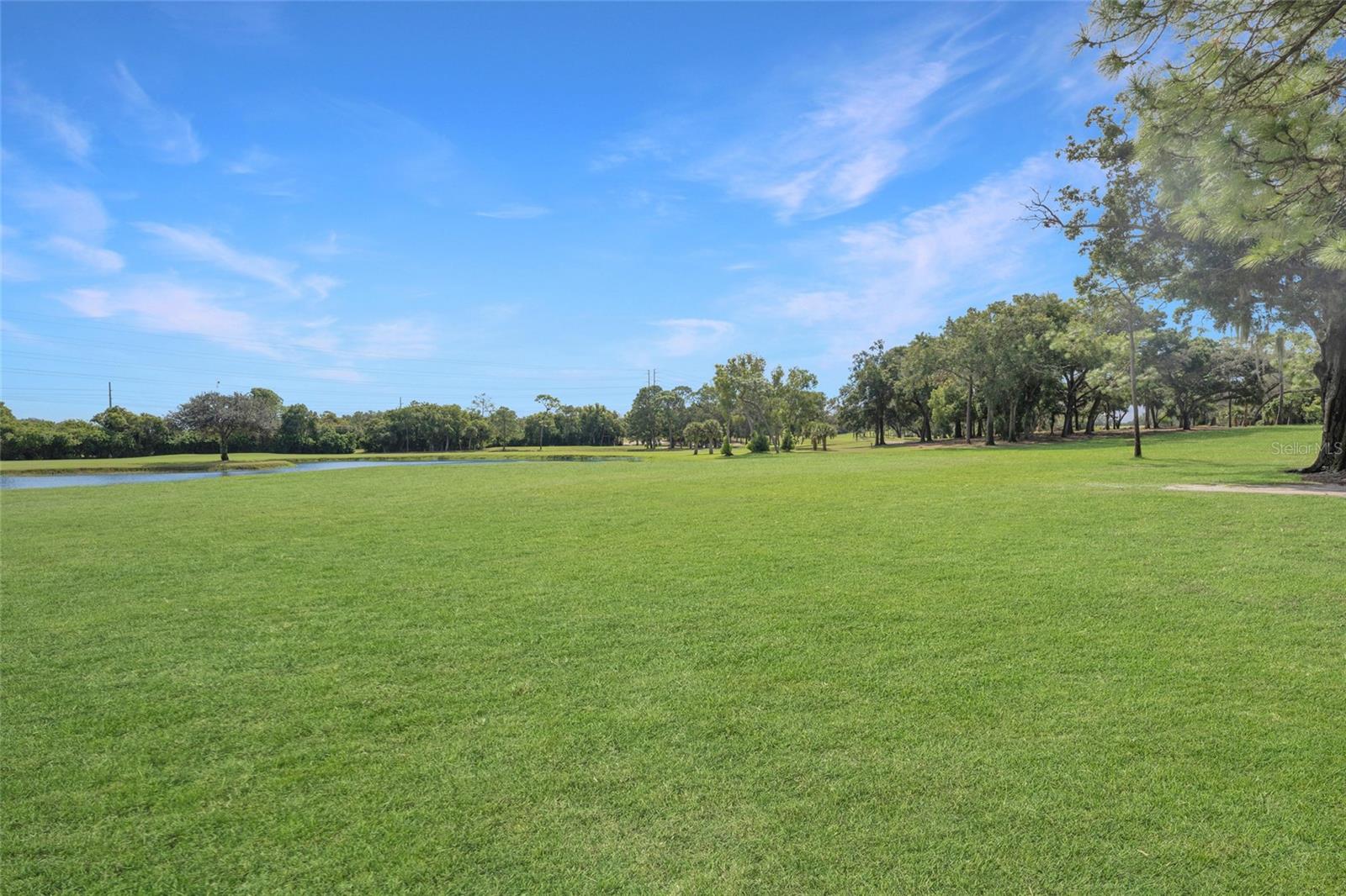 36750 US HIGHWAY 19 N #24-103