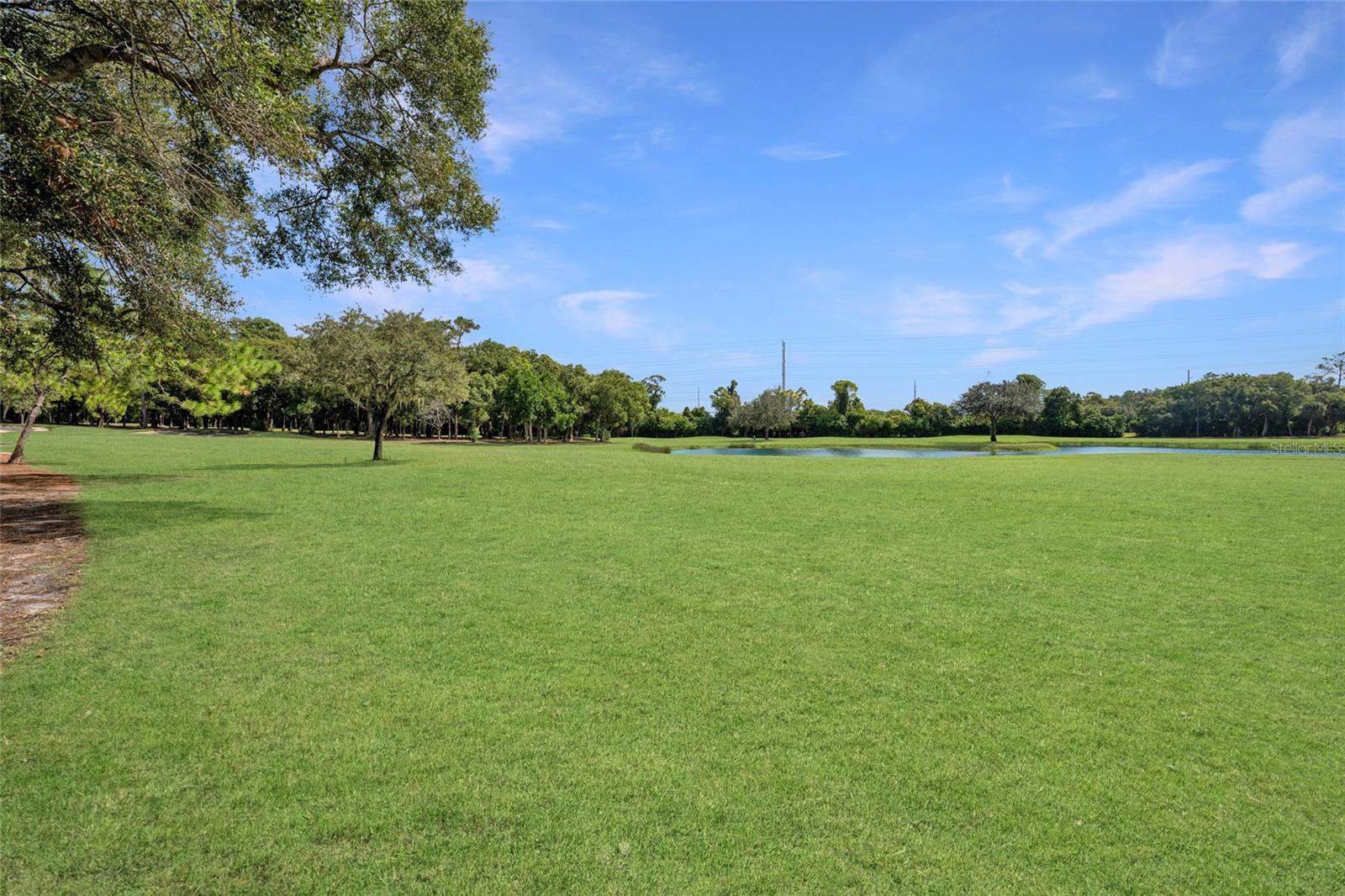 36750 US HIGHWAY 19 N #24-103