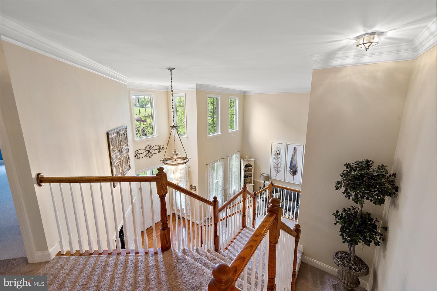 1959 GOLDENRIDGE DRIVE
