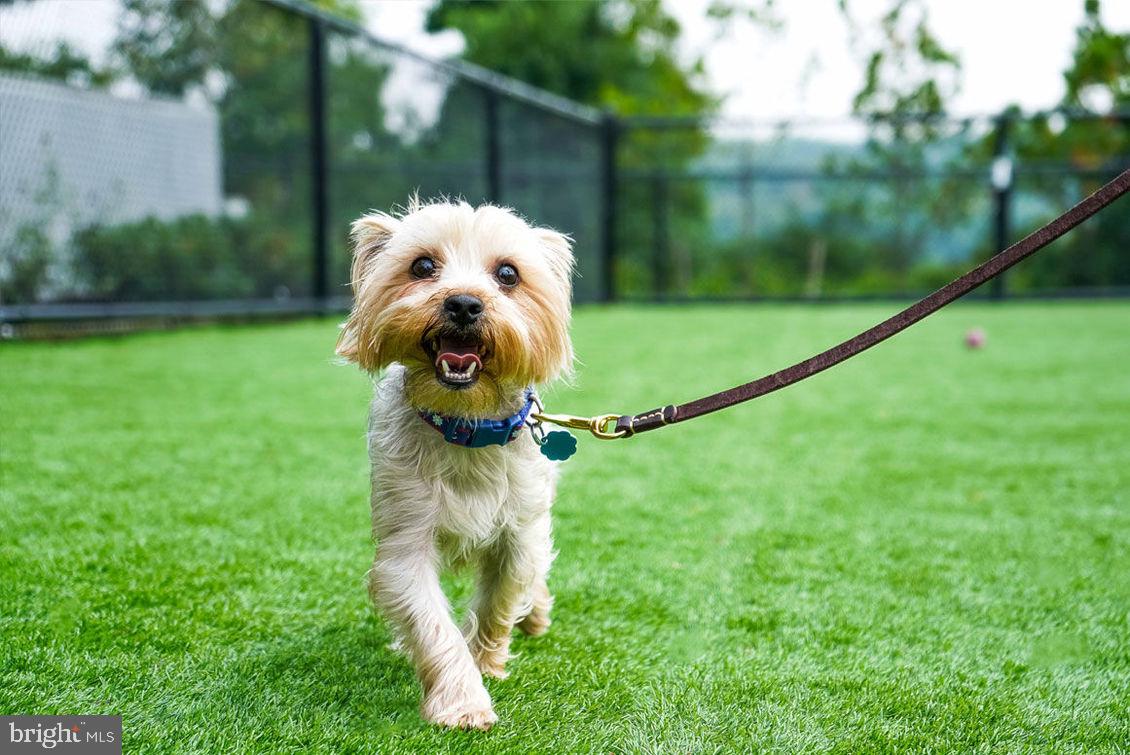 723 WHEATLAND ST #1B-306