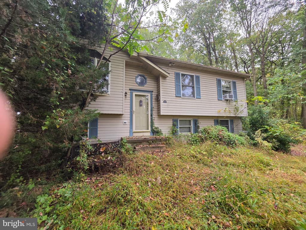 294 CAMBRIDGE ROAD