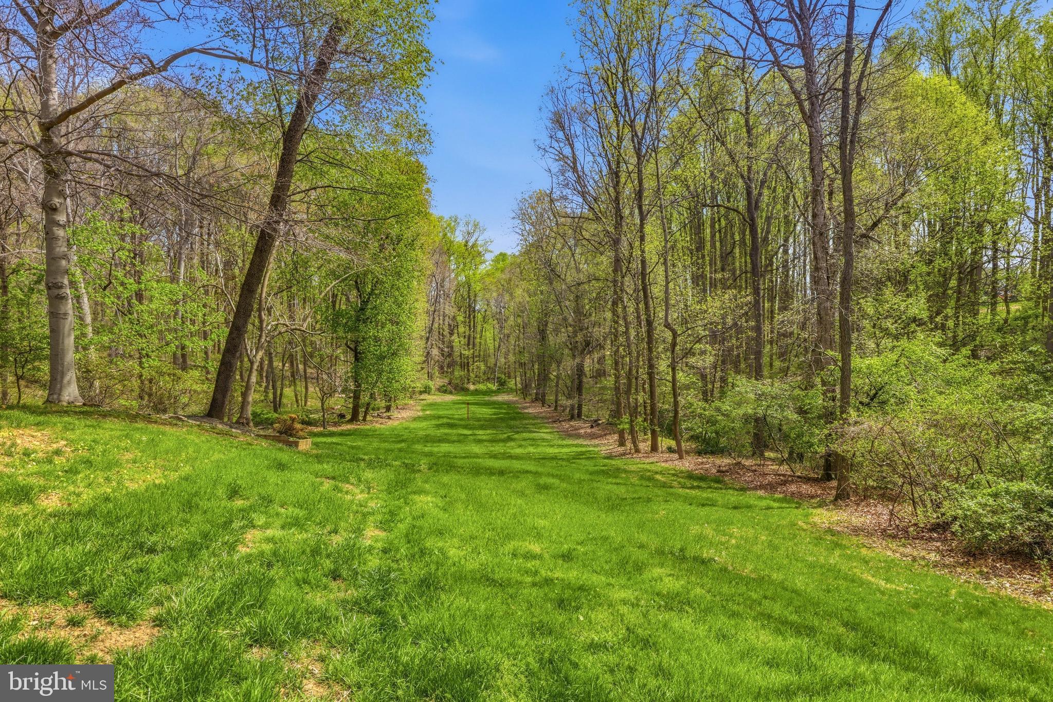 310 BUTTONWOOD ROAD