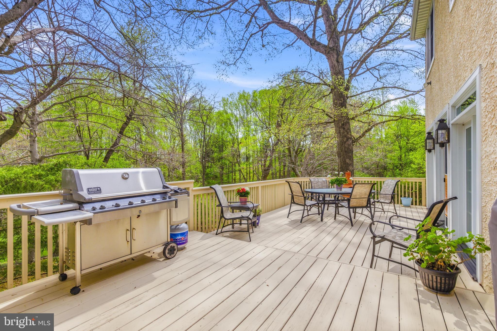 310 BUTTONWOOD ROAD