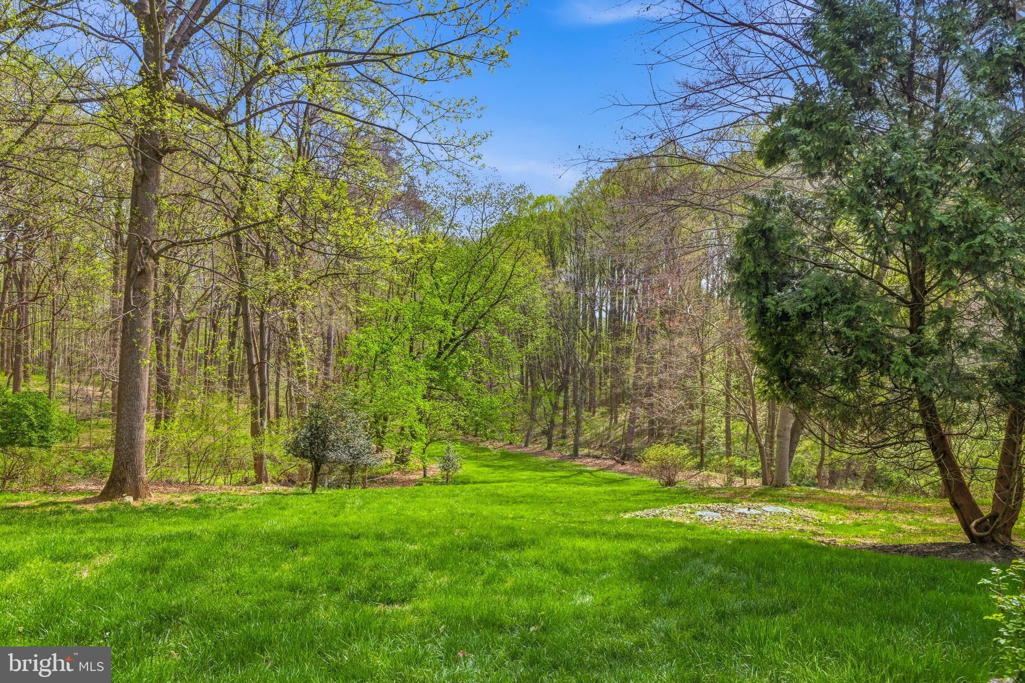 310 BUTTONWOOD ROAD