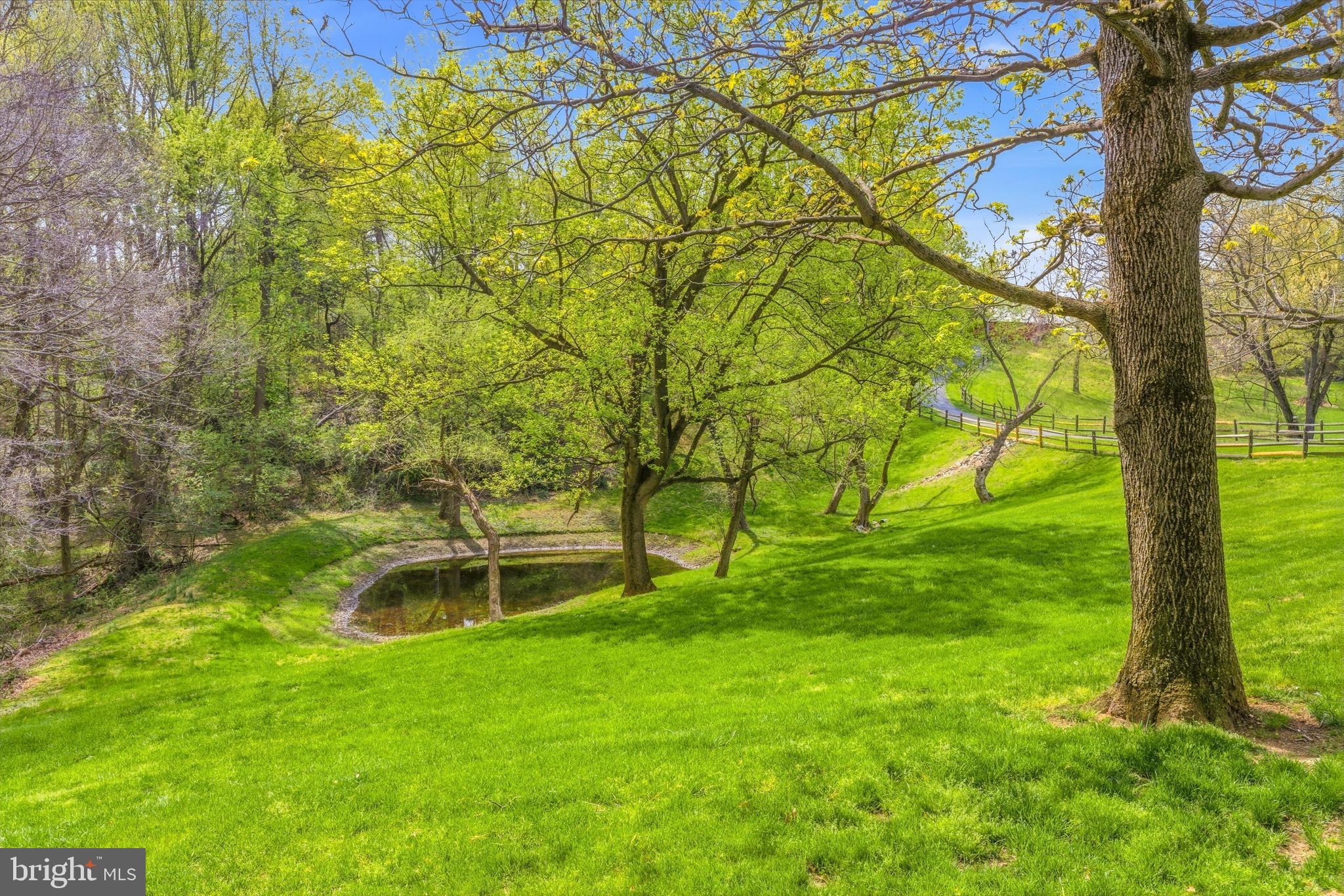 310 BUTTONWOOD ROAD