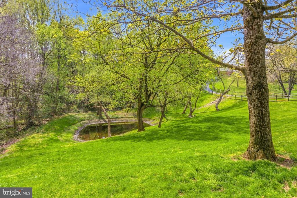 310 BUTTONWOOD ROAD
