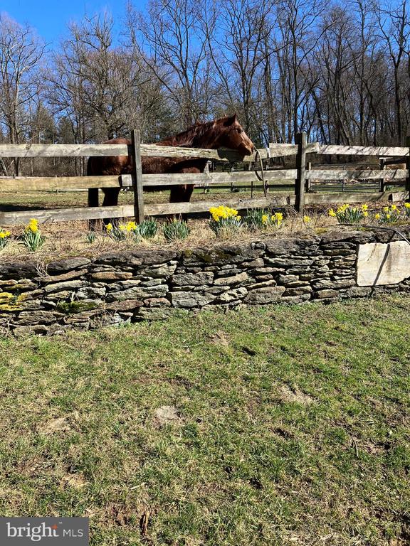 2265 STRASBURG ROAD