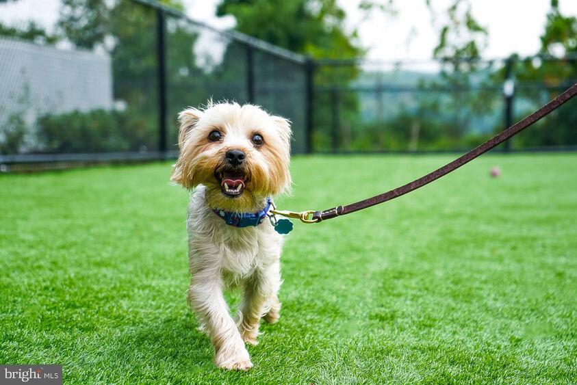 117 S BROAD ST #2B-345