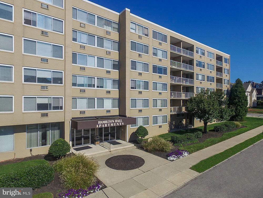 449 HAMILTON ST #203