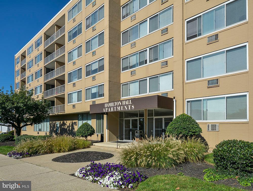 449 HAMILTON ST #412