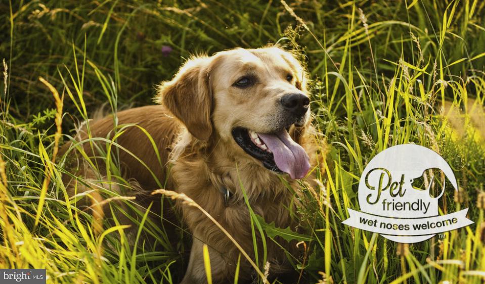 201 S 25TH STREET Unit: 1B-704